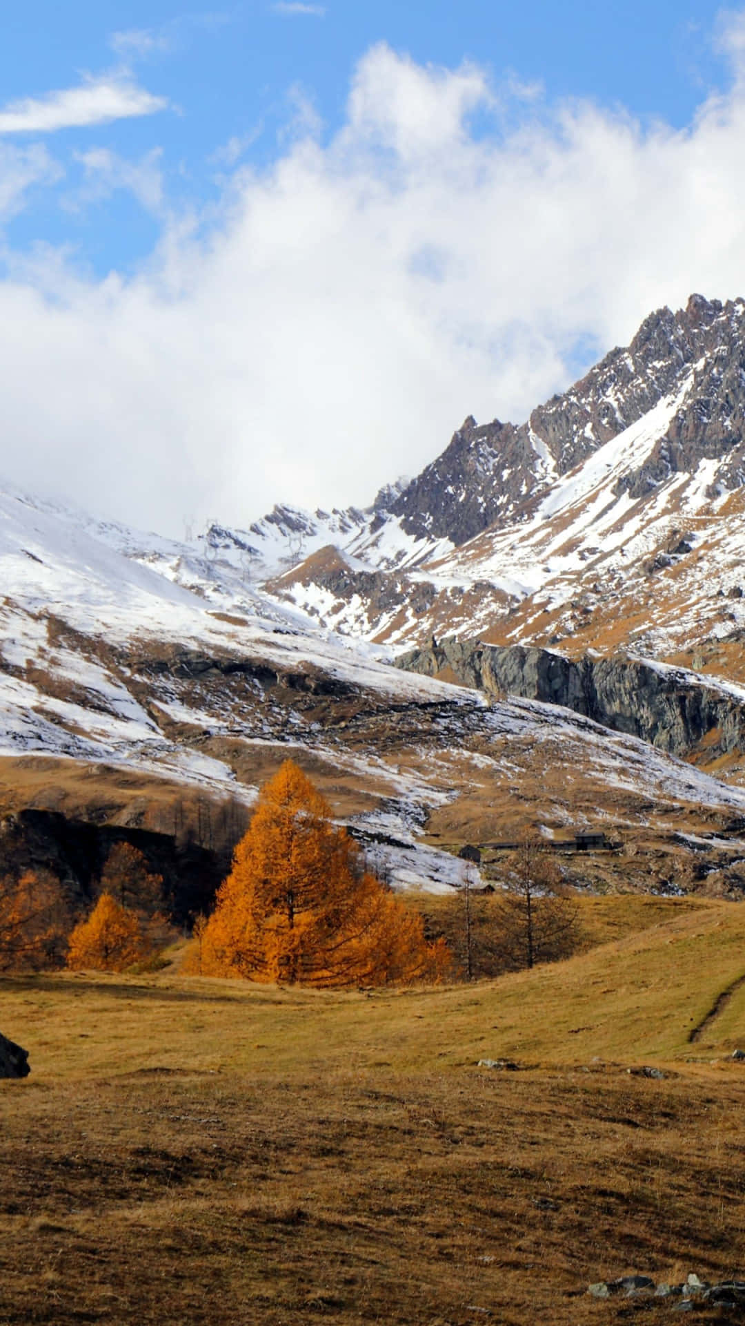 Green Mountains, snow-dusted peaks, golden larch tree, Full HD Phone Wallpaper