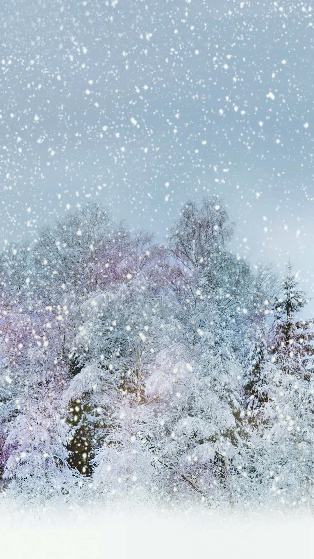 Snow Falling, pale blue sky, dense forest, Full HD Phone Wallpaper
