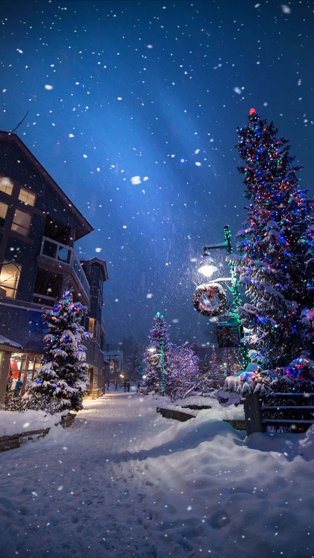 Snow Falling, Christmas Tree, starry night, Full HD Phone Wallpaper