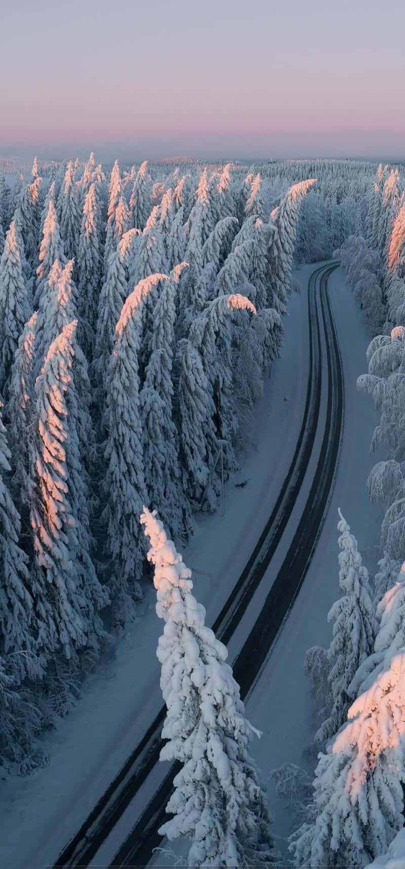 snow falling, winding road, dense forest, HD Phone Wallpaper