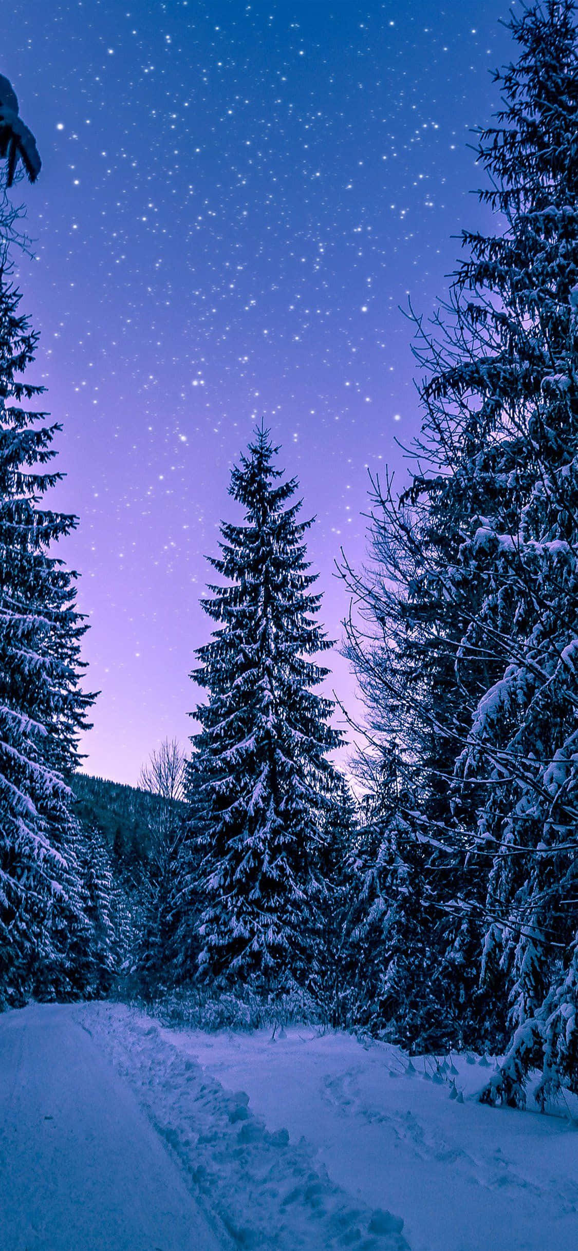Snow iPhone, starry twilight sky, purple and blue hues, Full HD Phone Wallpaper