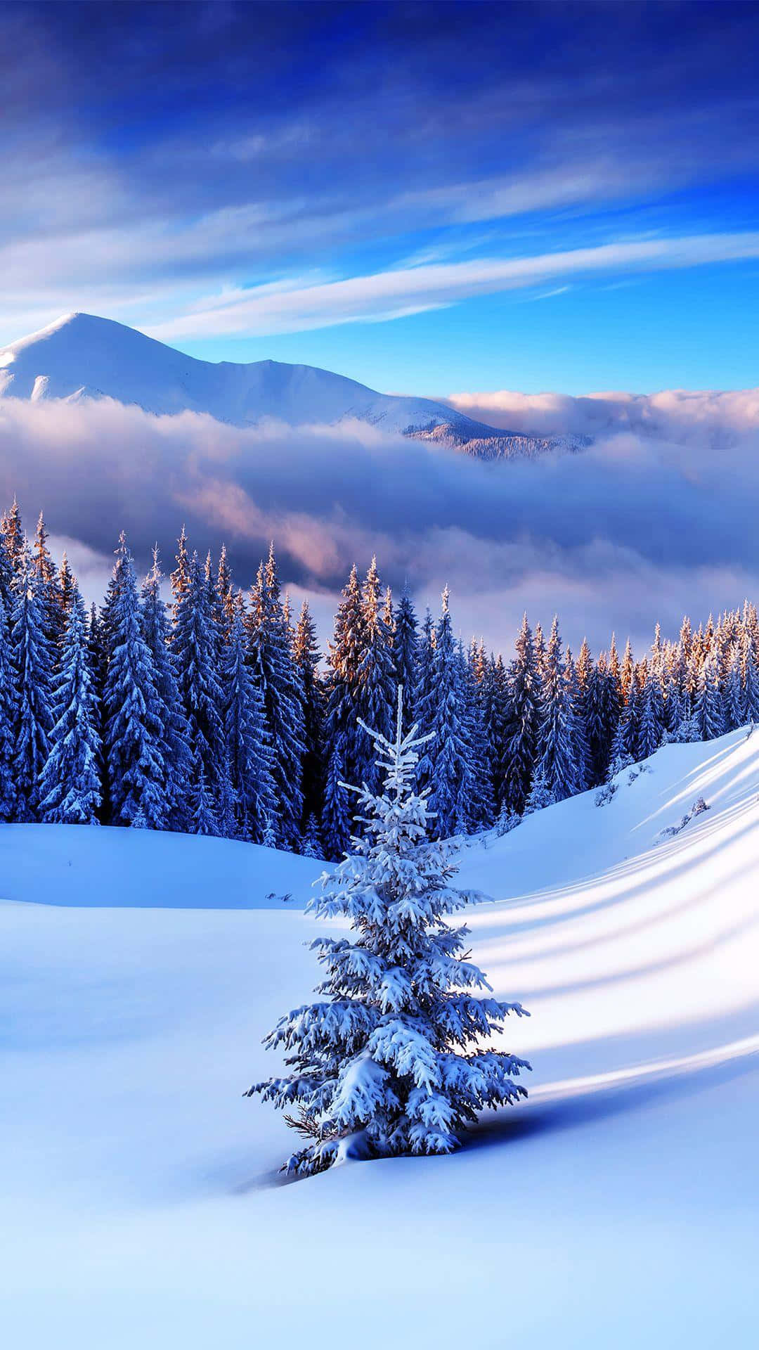 Snow iPhone, snow-covered pine tree, snow-capped mountains, Full HD Phone Wallpaper