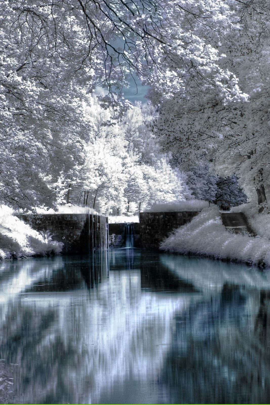 iPhone, Christmas, snow, HD Phone Wallpaper