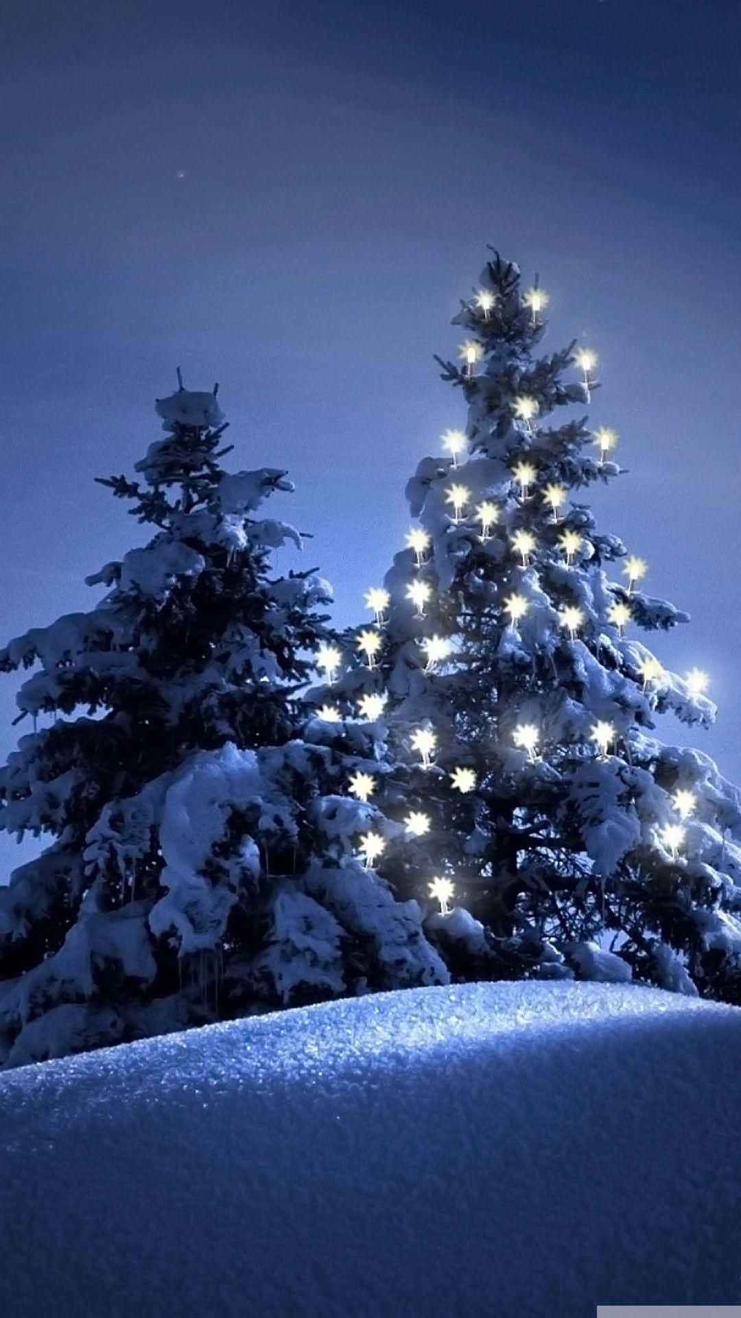 Snow iPhone, pine trees, warm lights, Full HD Phone Wallpaper