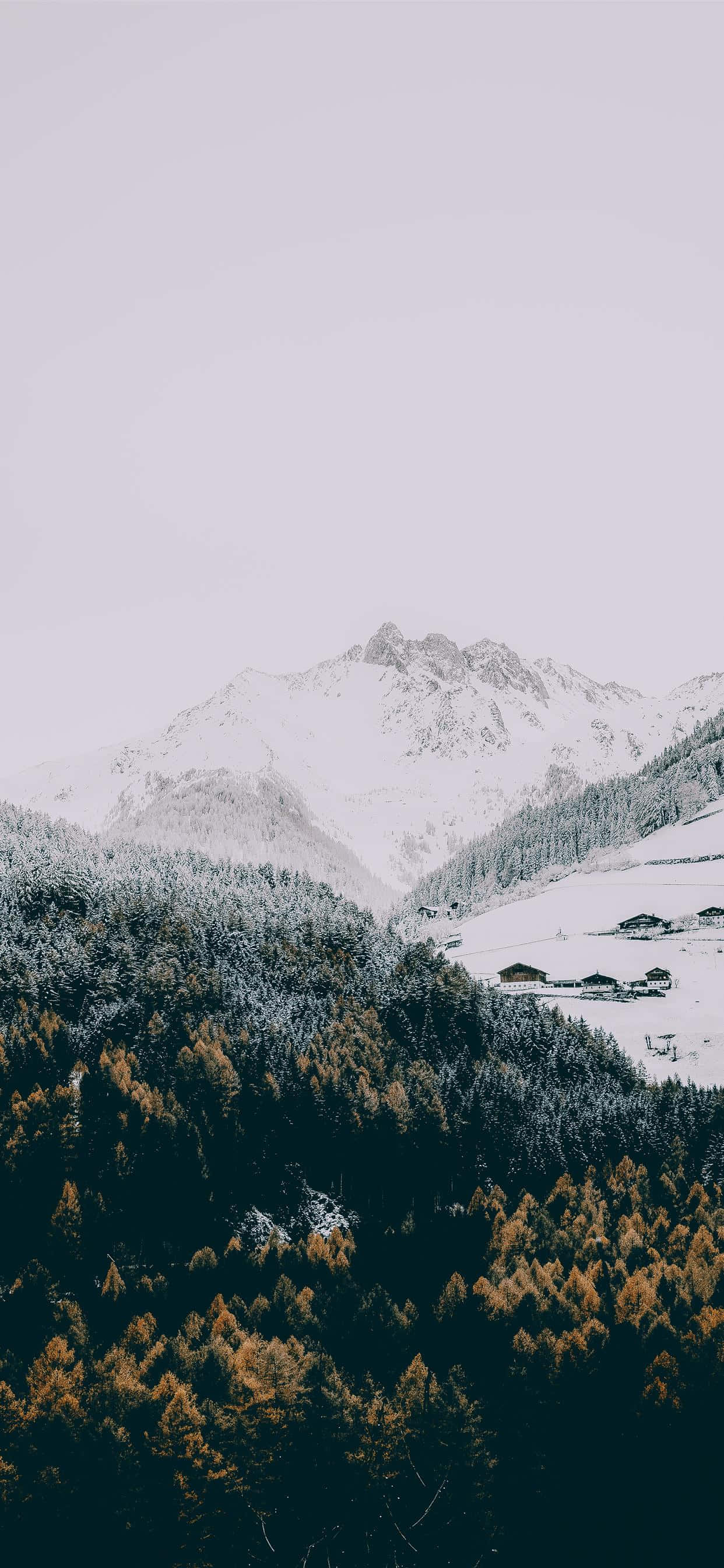 Snow iPhone, mountain range, trees, 2K Phone Wallpaper