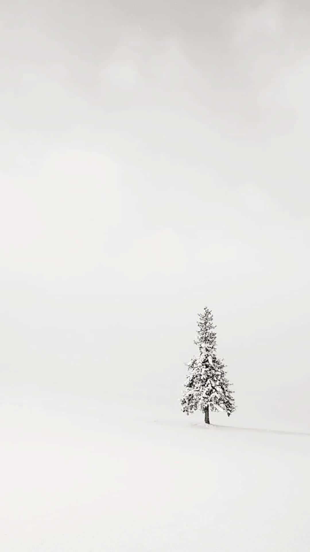 iPhone, white, snowy tree, Full HD Phone Wallpaper