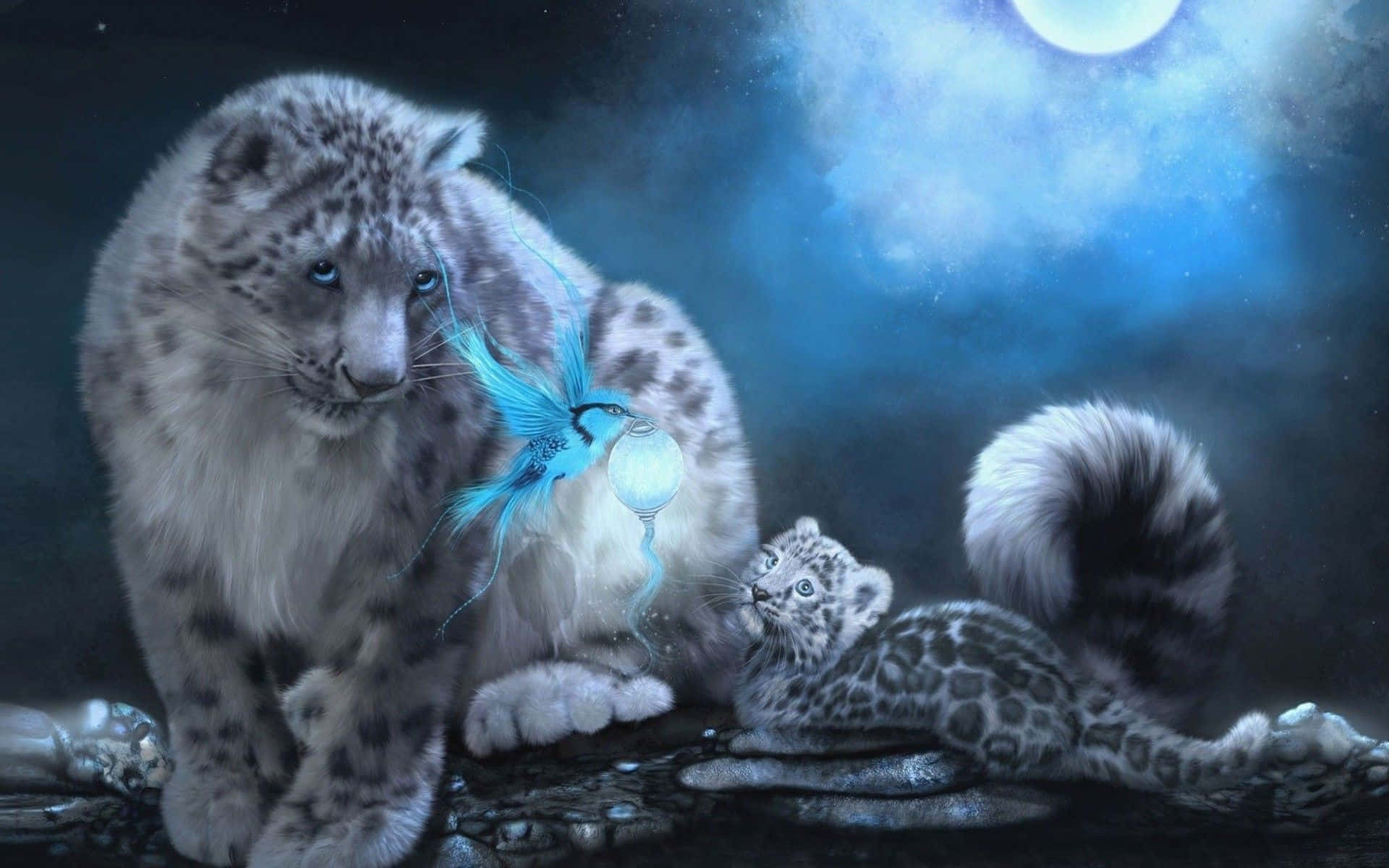 Snow Leopard, cub, glowing moon, Full HD Desktop Wallpaper