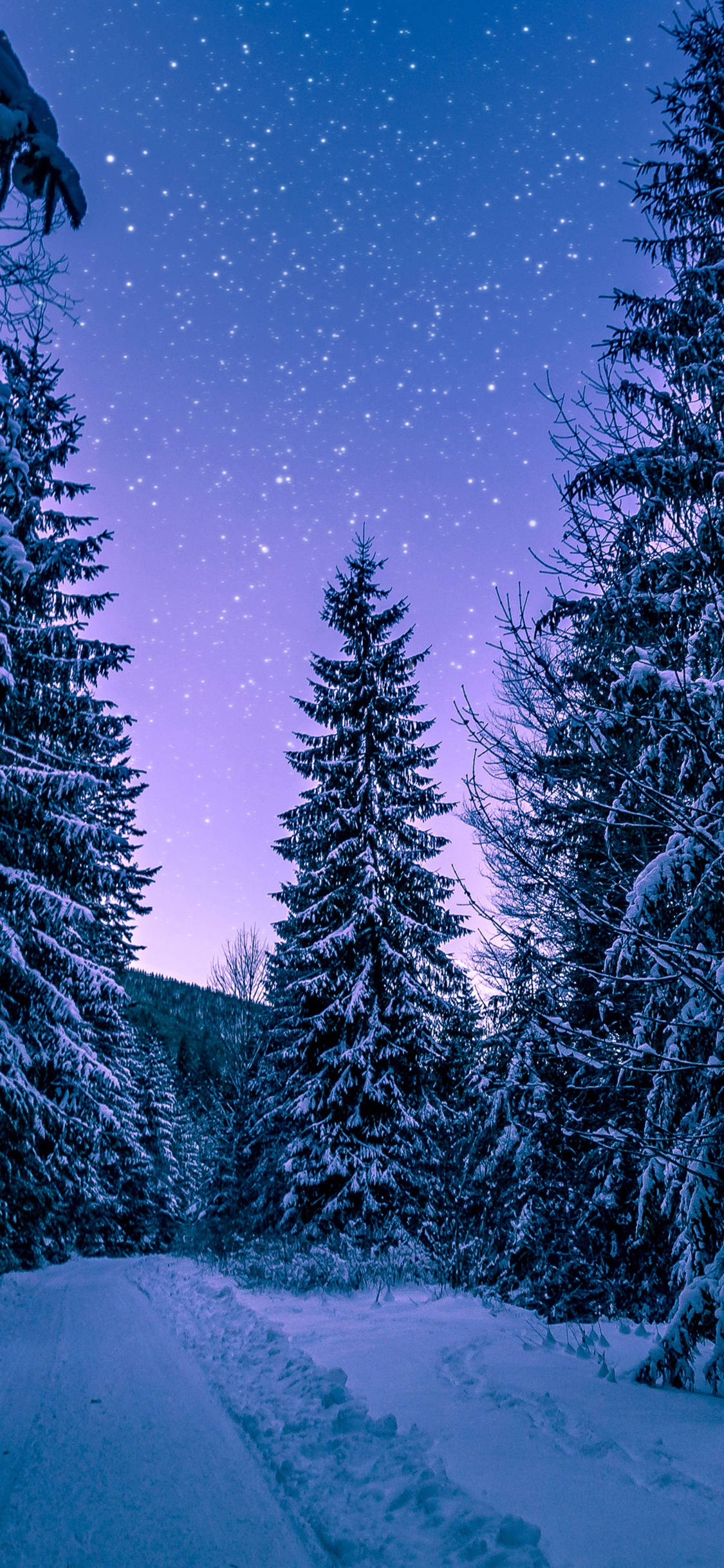 Dreamy Winter Forest, iPhone, snowy forest path, Full HD Phone Wallpaper