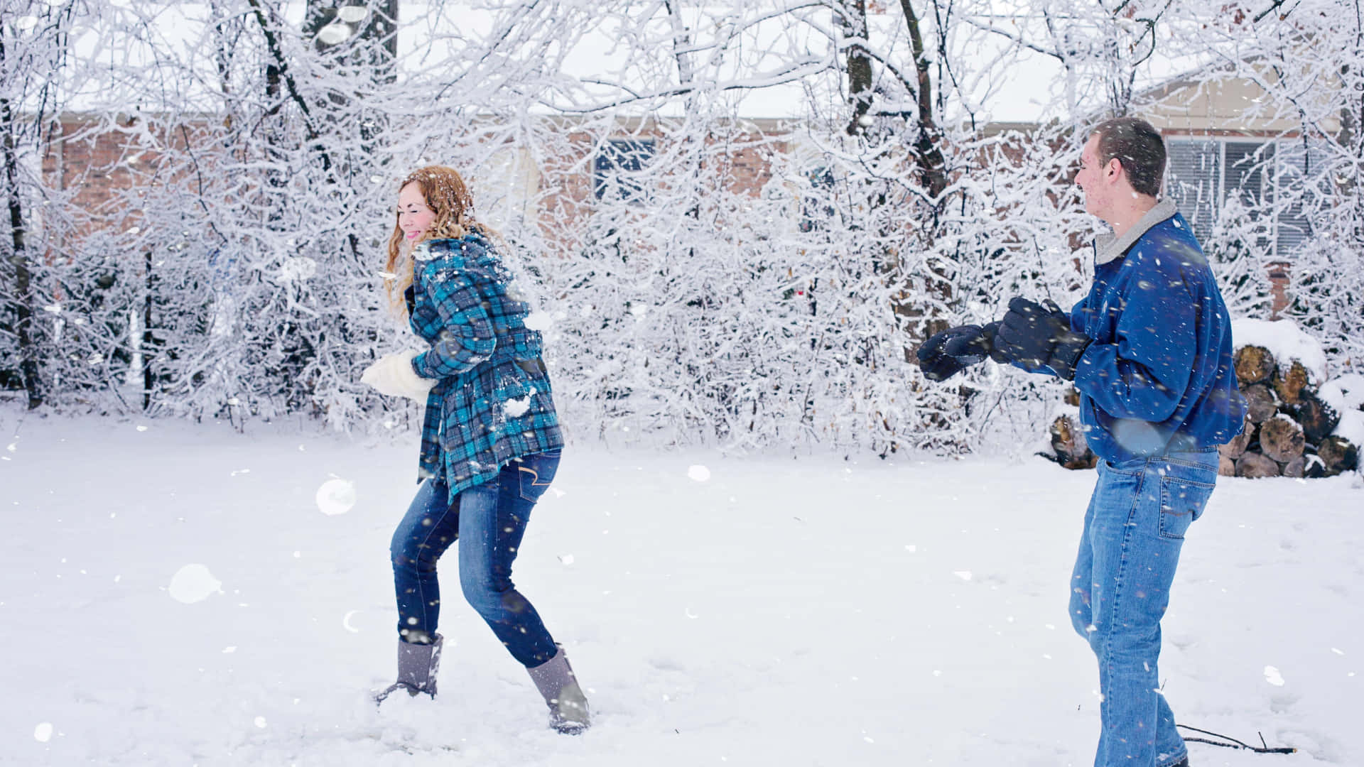 snowball fight, snowy backyard, frost-covered trees, Full HD Desktop Wallpaper
