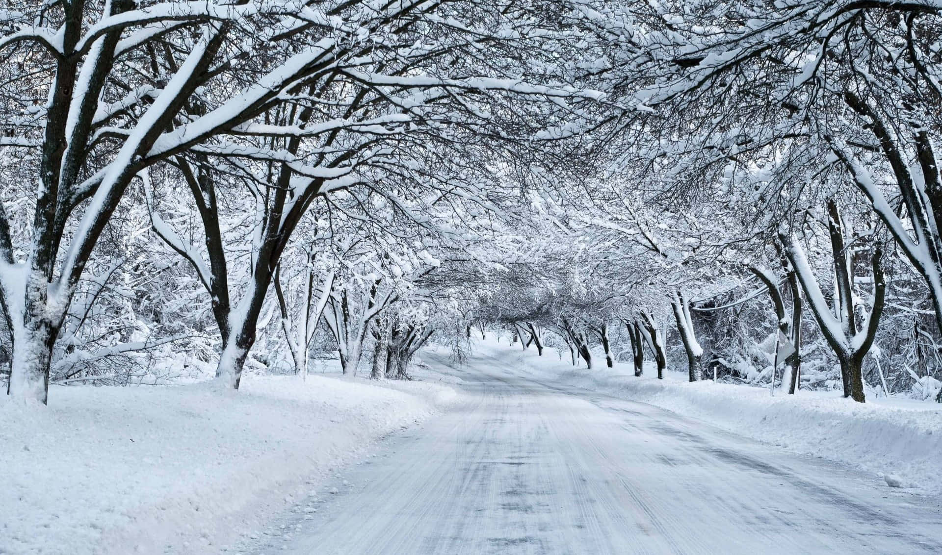 Snow Trees, winter wonderland, snow-covered road, Full HD Desktop Wallpaper
