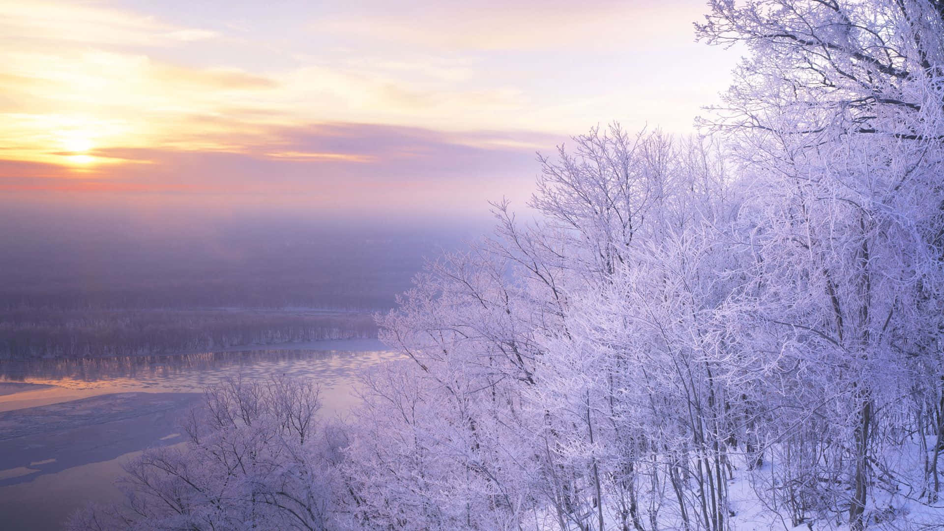 Snow Trees, Sunrise, frosty winter forest, Full HD Desktop Wallpaper