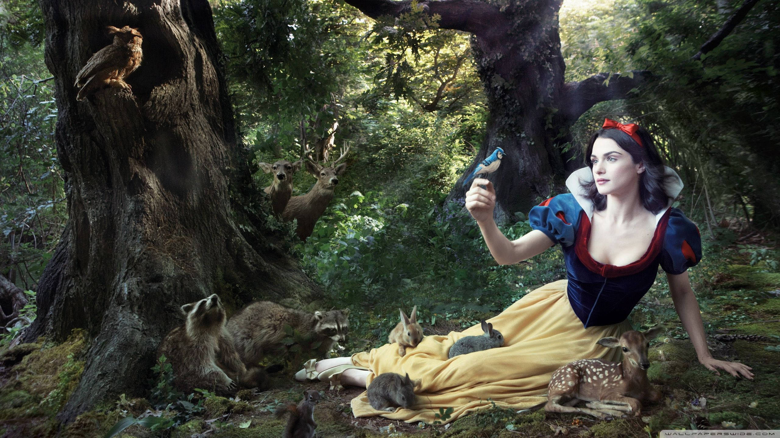 Snow White, forest, deer, 2K Desktop Wallpaper