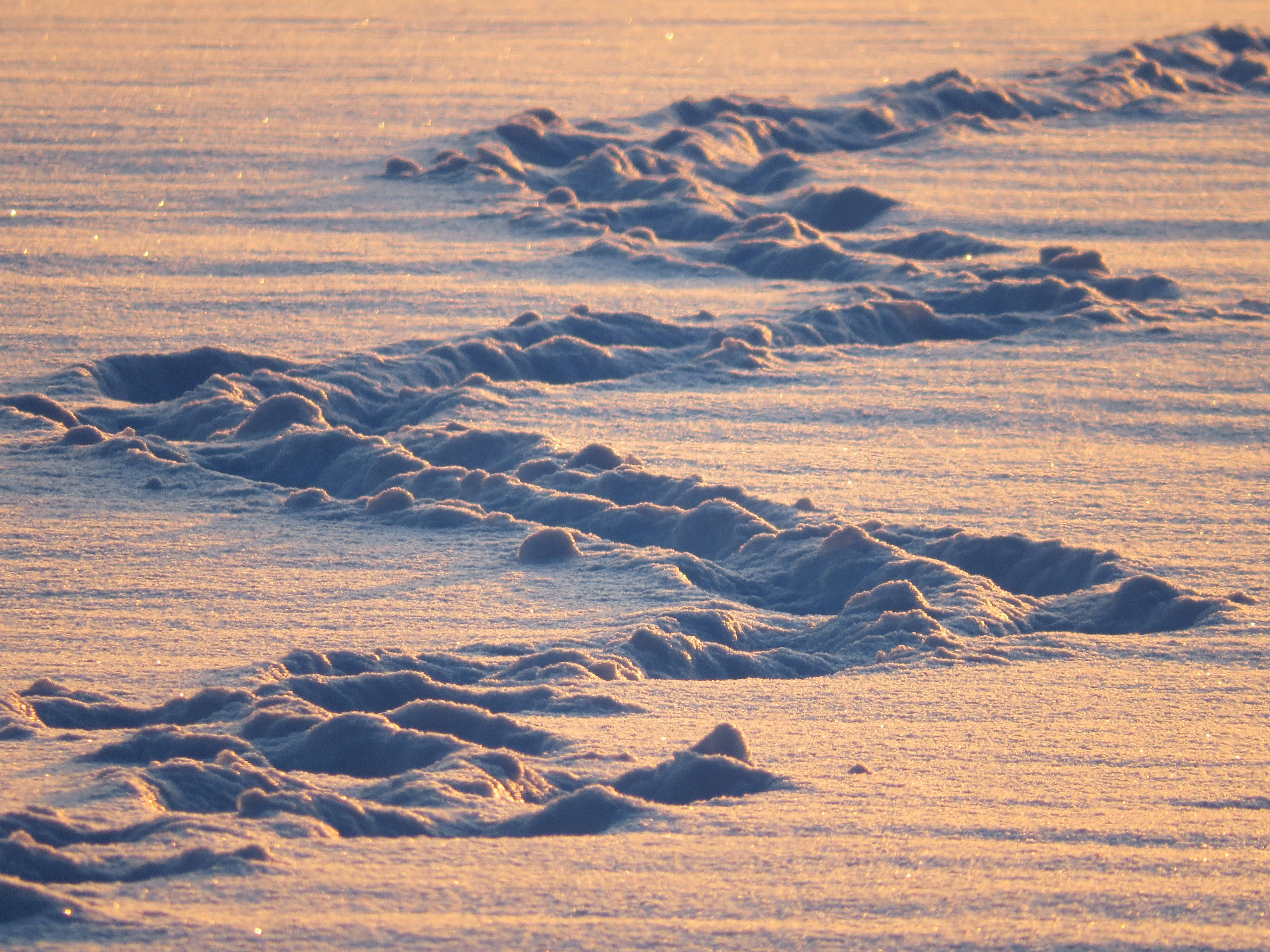 snowdrifts, frozen field, golden sunrise light, 4K Desktop Wallpaper