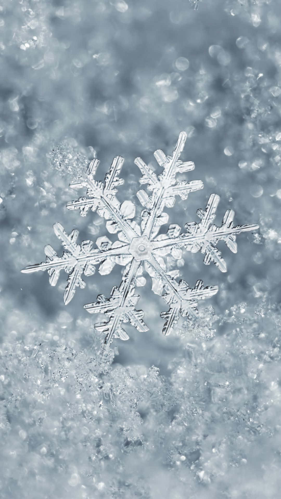snowflake, soft snow, cool blue light, Full HD Phone Wallpaper