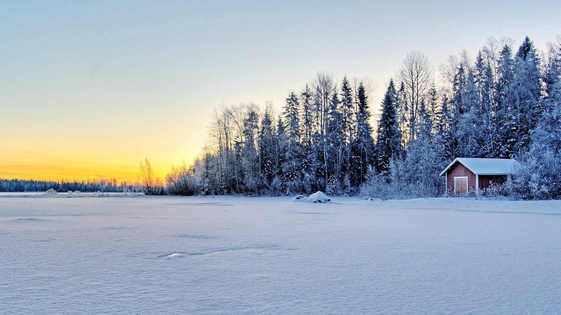 snow-covered field, frosted trees, red cabin, Full HD Desktop Wallpaper