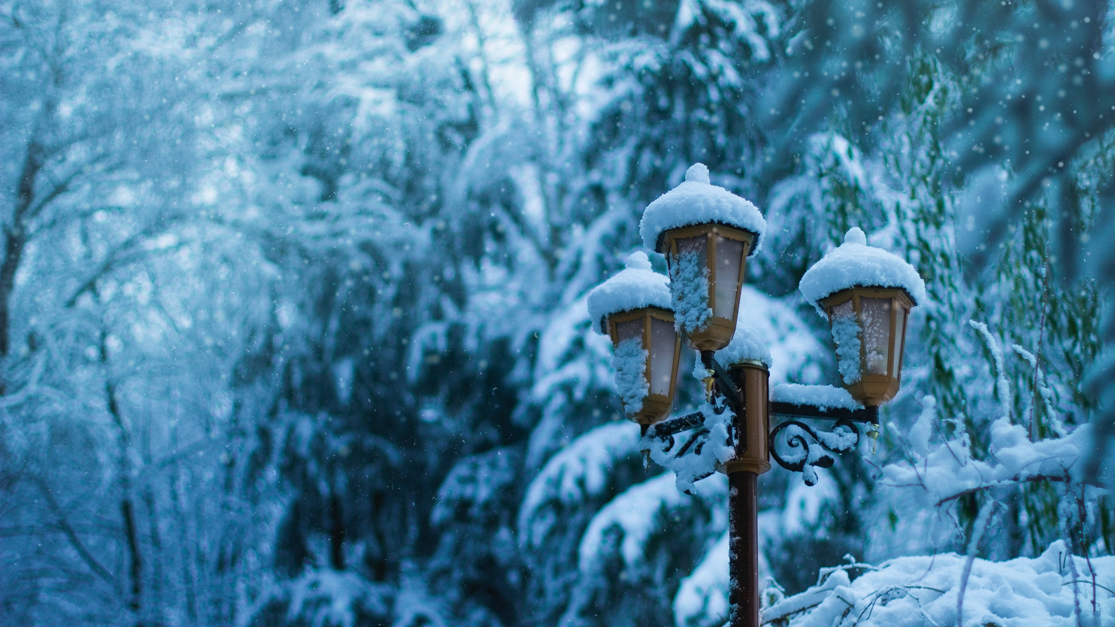 vintage snow-covered lamppost, serene winter forest, falling snowflakes, 4K Desktop Wallpaper