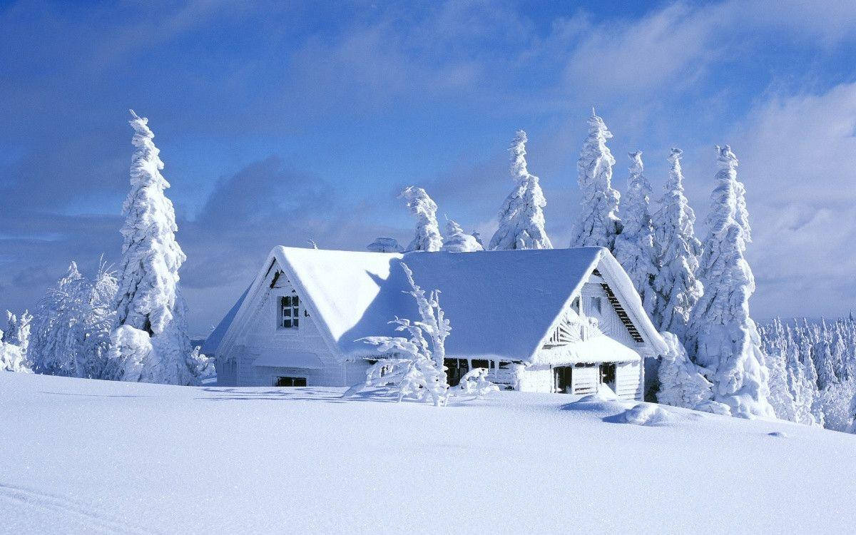 white cabin, snowy forest, bright blue sky, SD Desktop Wallpaper