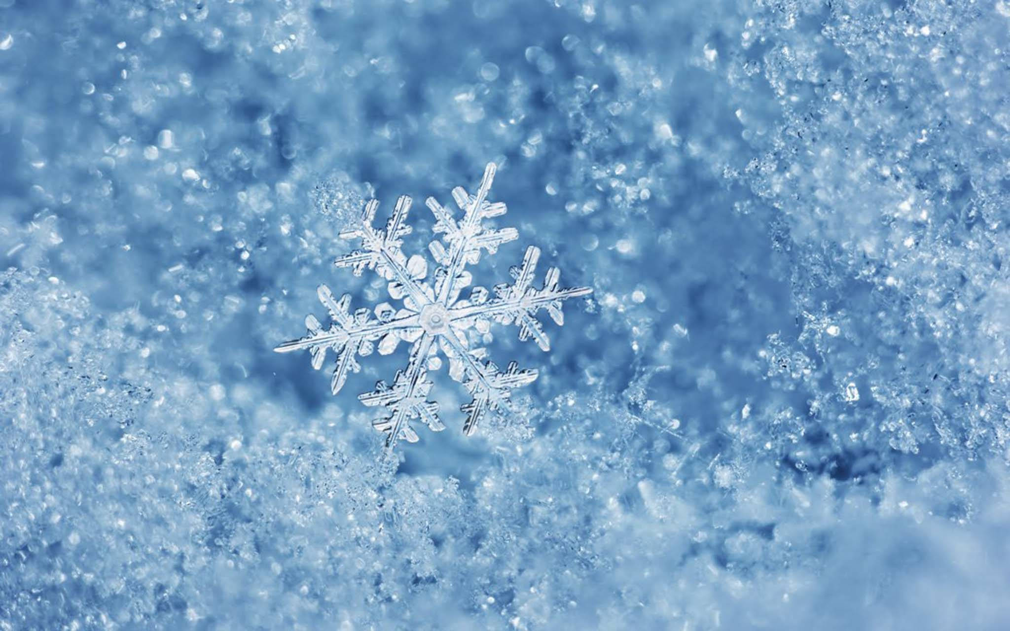 cold frosted snowflake, soft blue snow, crisp winter light, Full HD Desktop Wallpaper