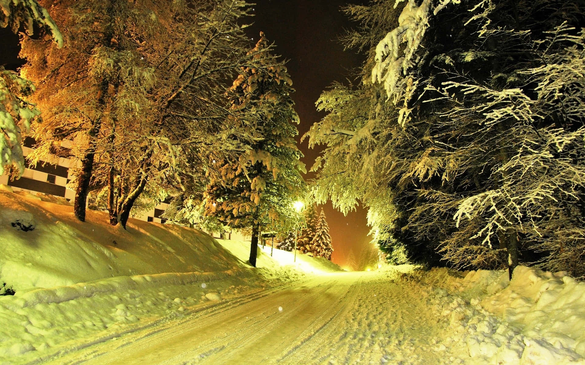 snowfall, rural landscape, snow-covered forest road, Full HD Desktop Wallpaper