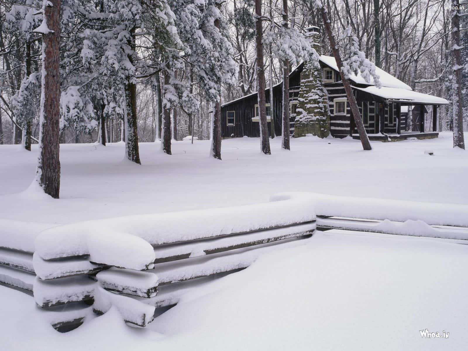 snowfall, log cabin, winter forest, HD Desktop Wallpaper