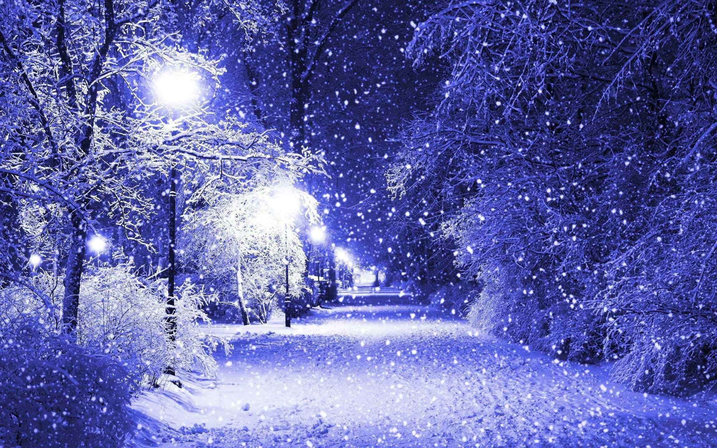 Purple Night Snowfall, moonlit winter park, streetlights, Full HD Desktop Wallpaper