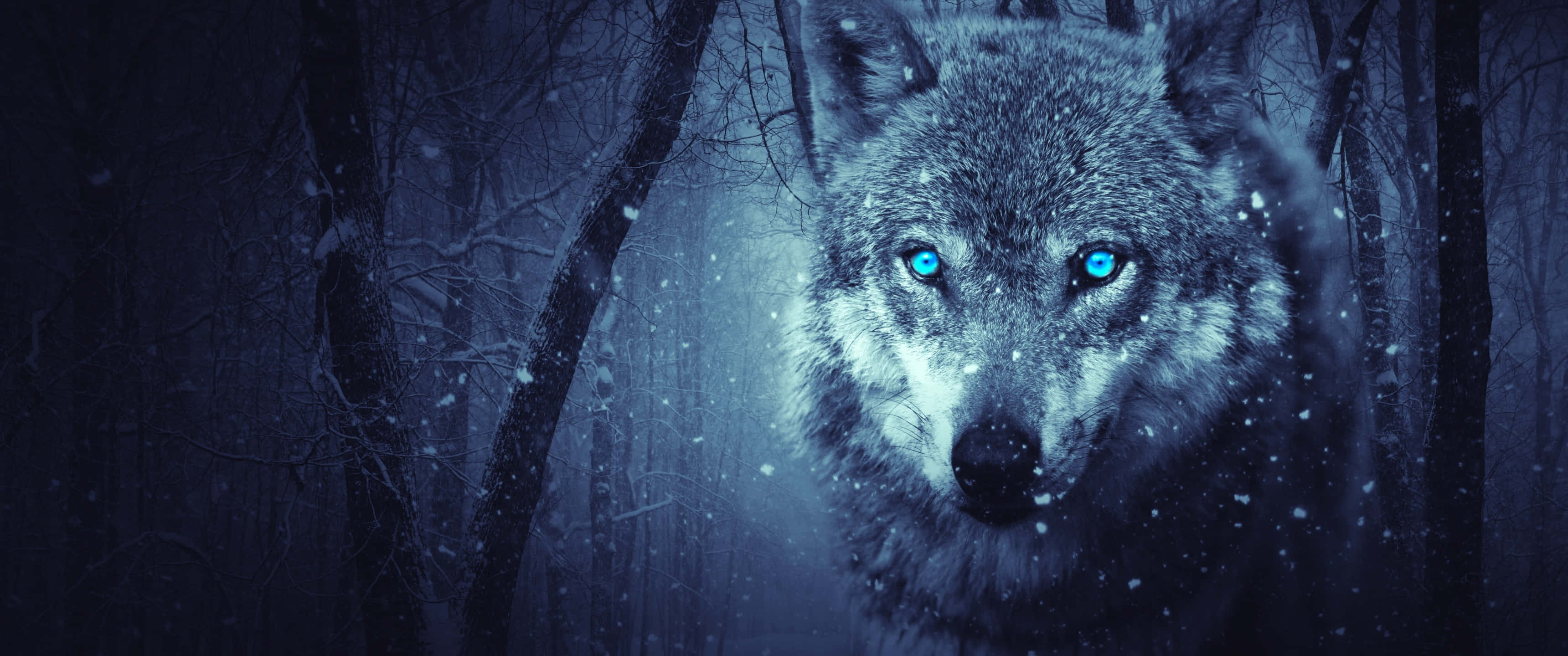 Snowfall, 3440 x 1440, lone wolf, 2K Desktop Wallpaper