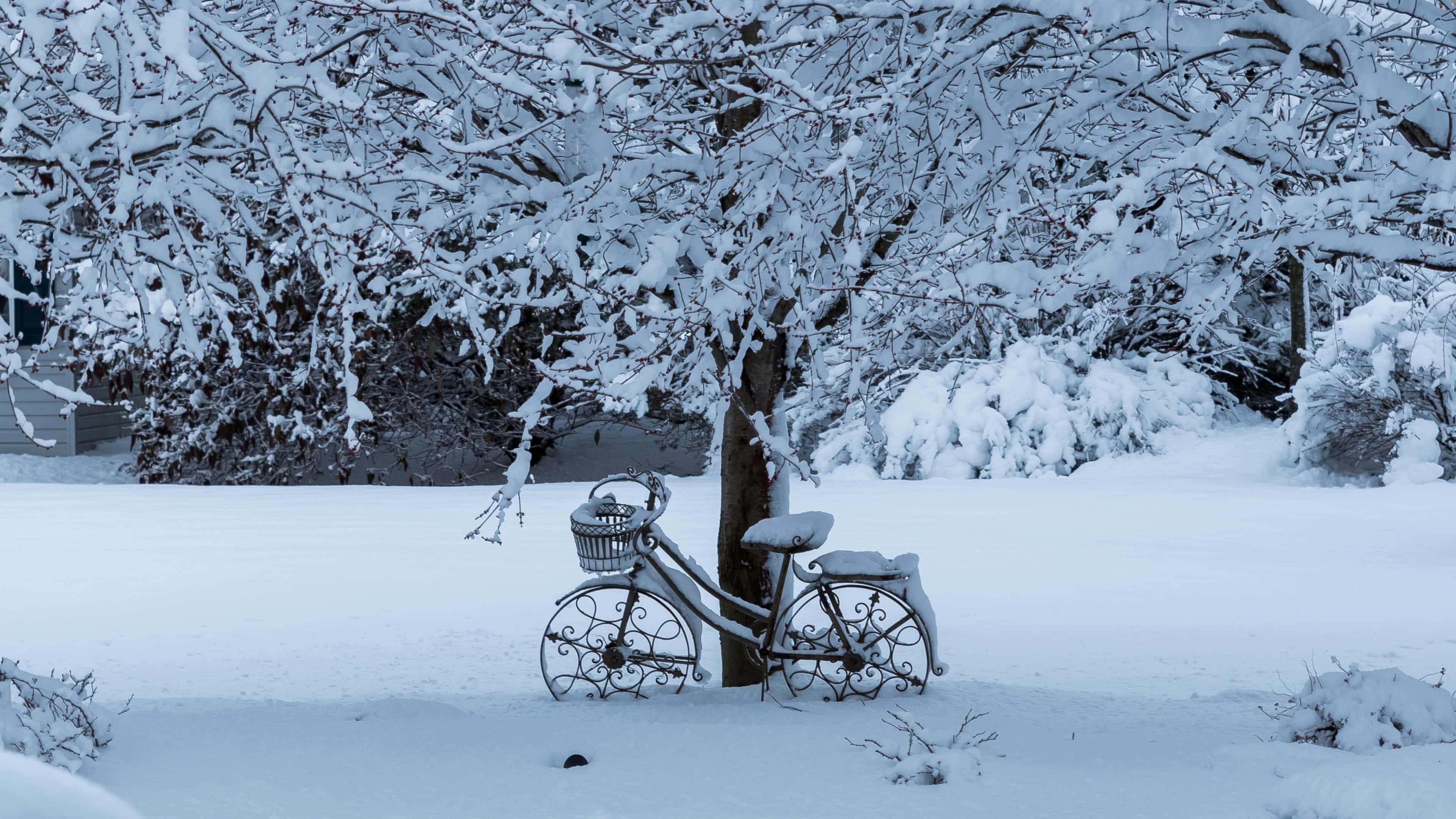 Snowfall, snow-covered, ornate bicycle, 4K Desktop Wallpaper