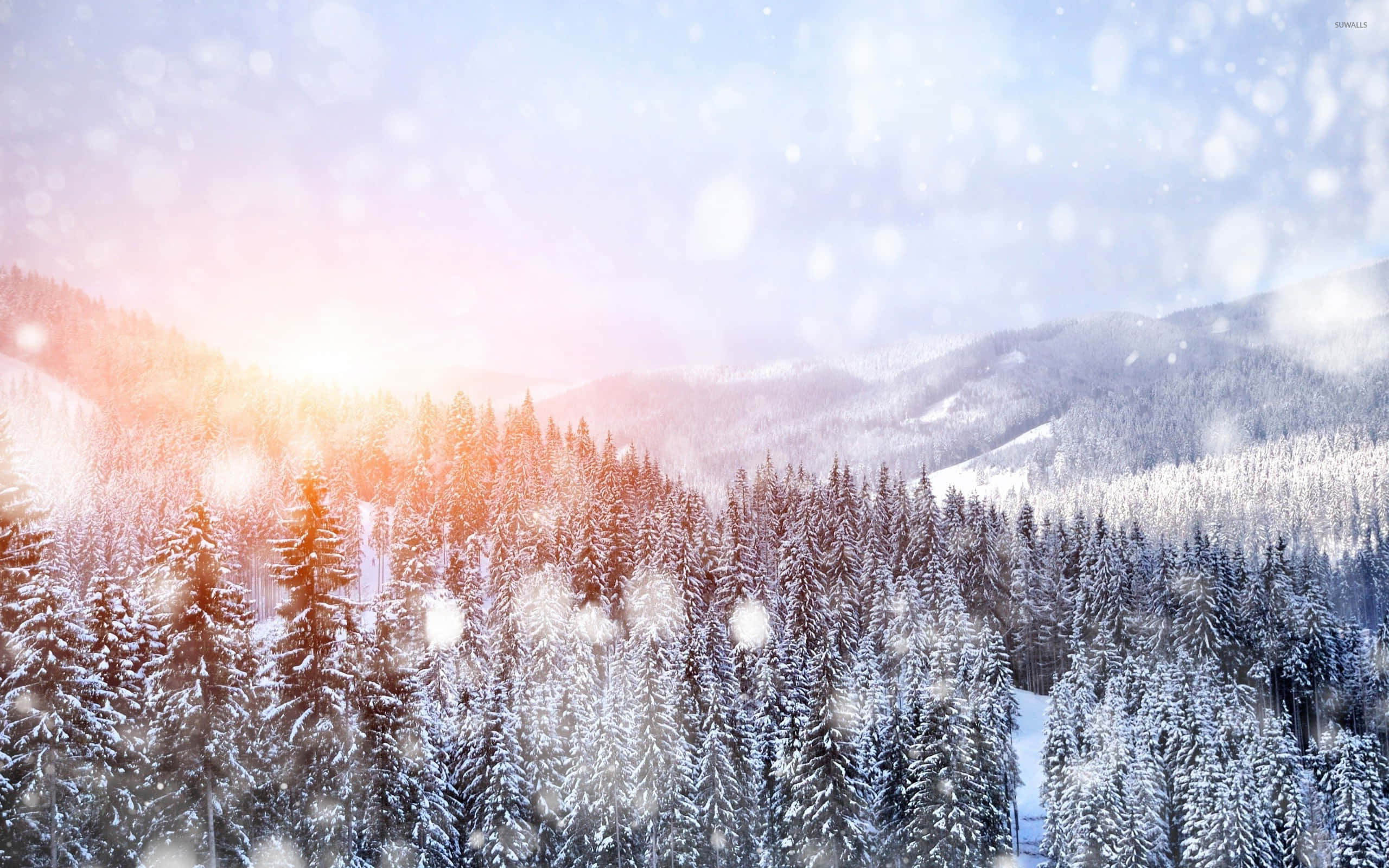 Snowfall, Sunset, mountain valley, 2K Desktop Wallpaper