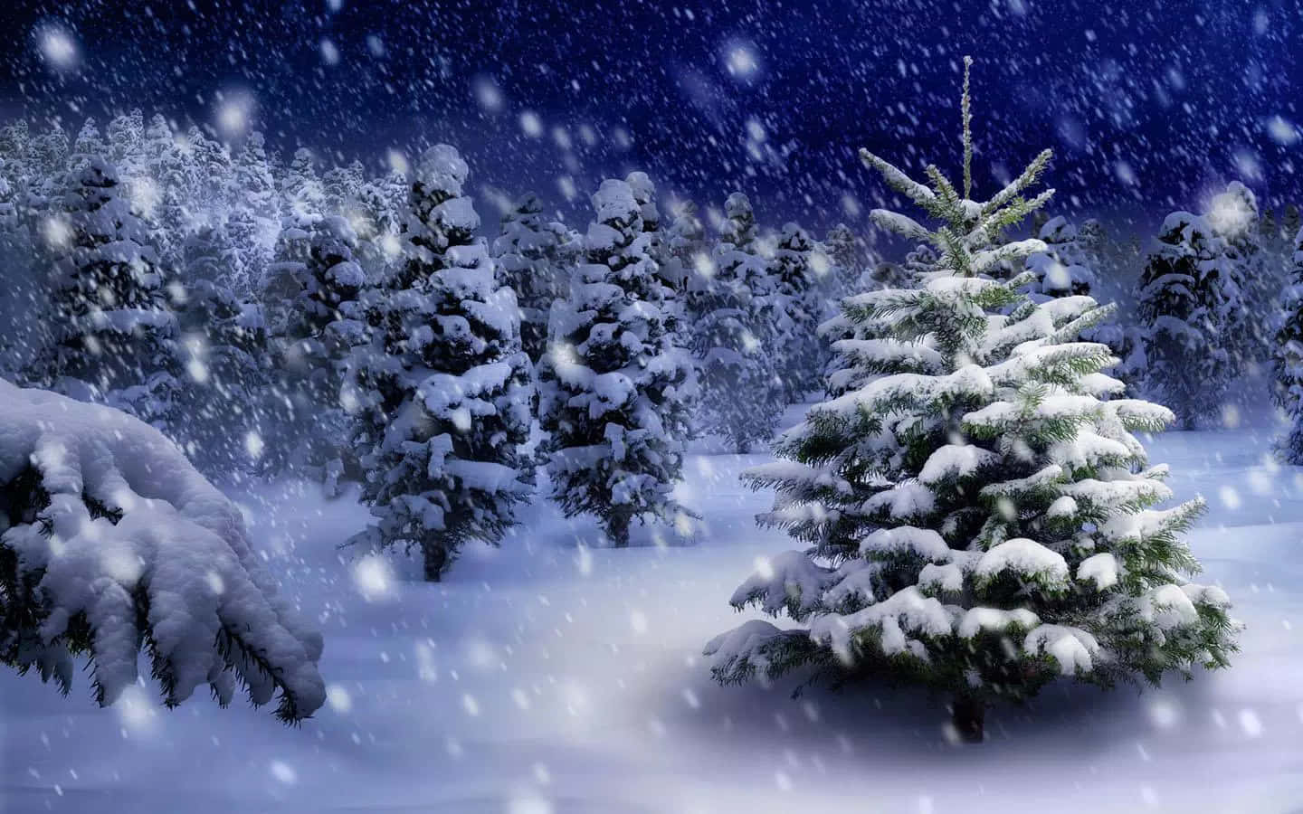 Snowfall, evergreen trees, starry night sky, HD Desktop Wallpaper