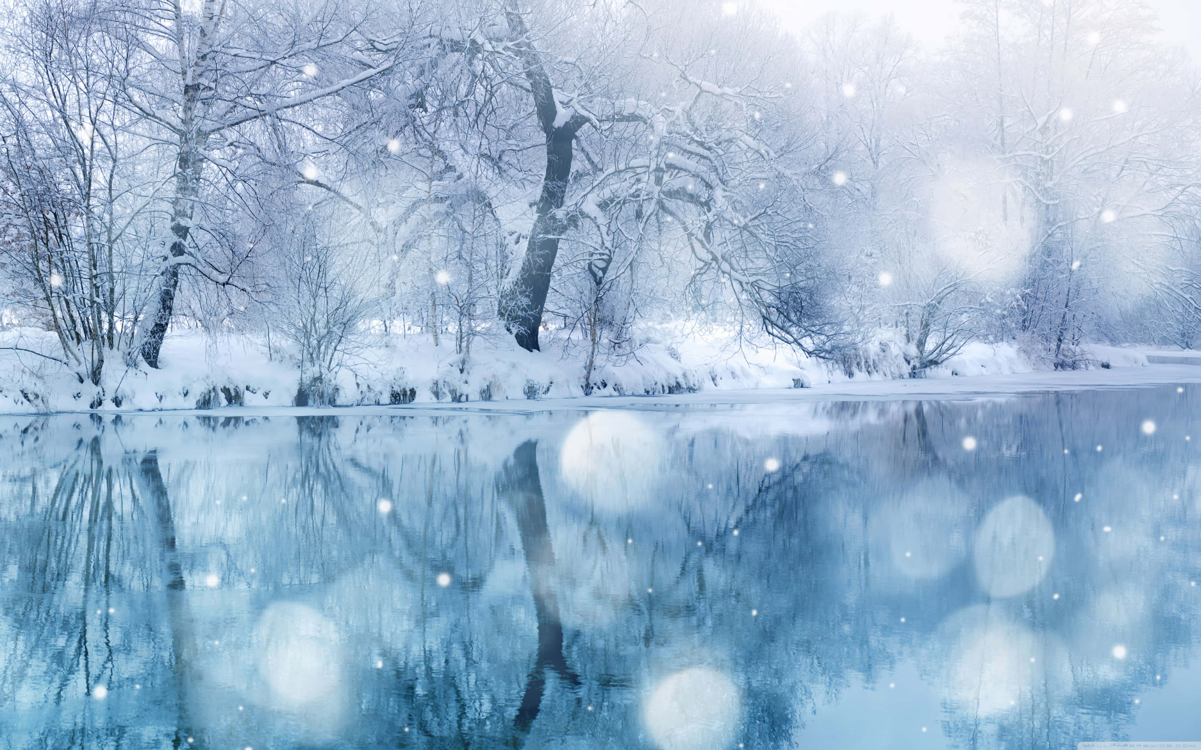 Snowfall, winter landscape, bare trees, 4K Desktop Wallpaper