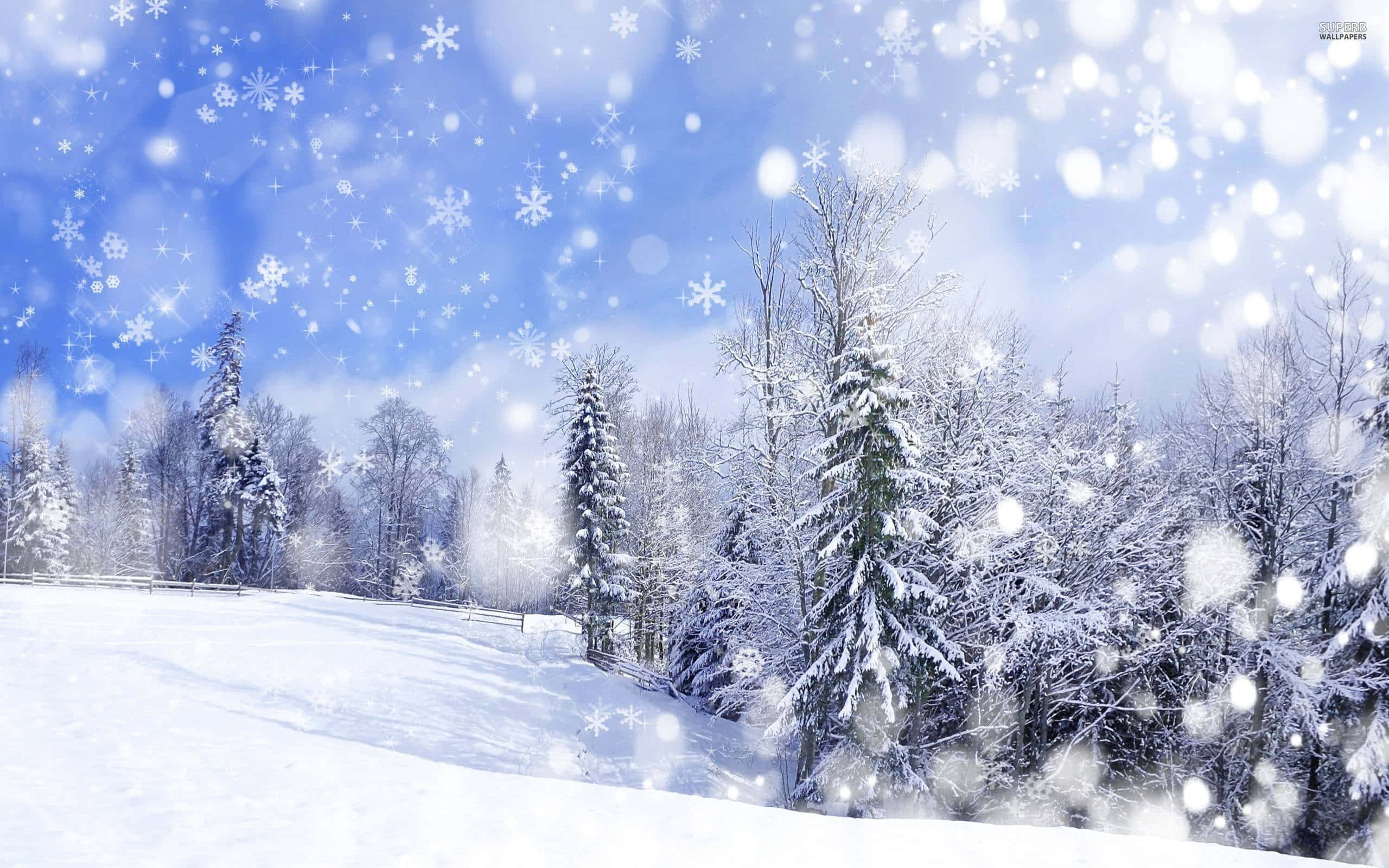 Snowfall, bright blue sky, serene snowy forest, 2K Desktop Wallpaper