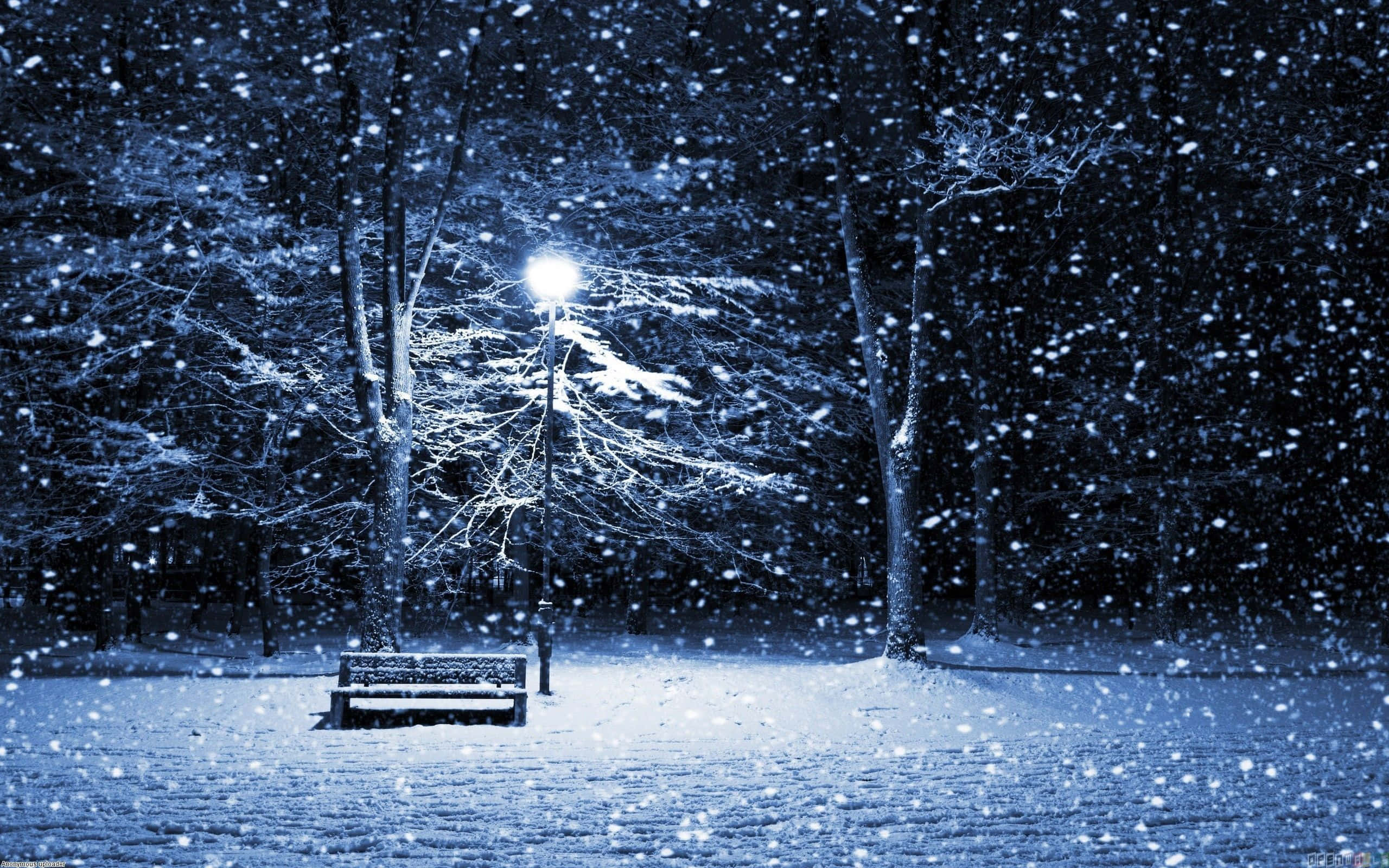 snow-covered bench, streetlamp, winter park, 2K Desktop Wallpaper