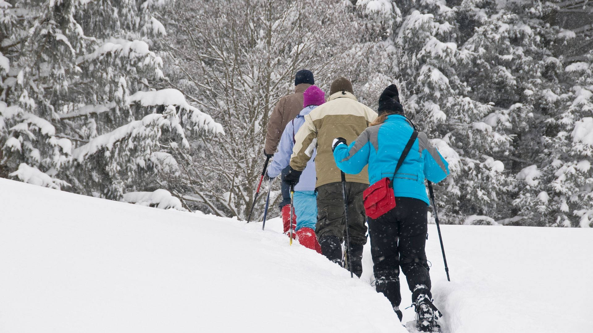 snowshoeing, friends, deep snow, Full HD Desktop Wallpaper