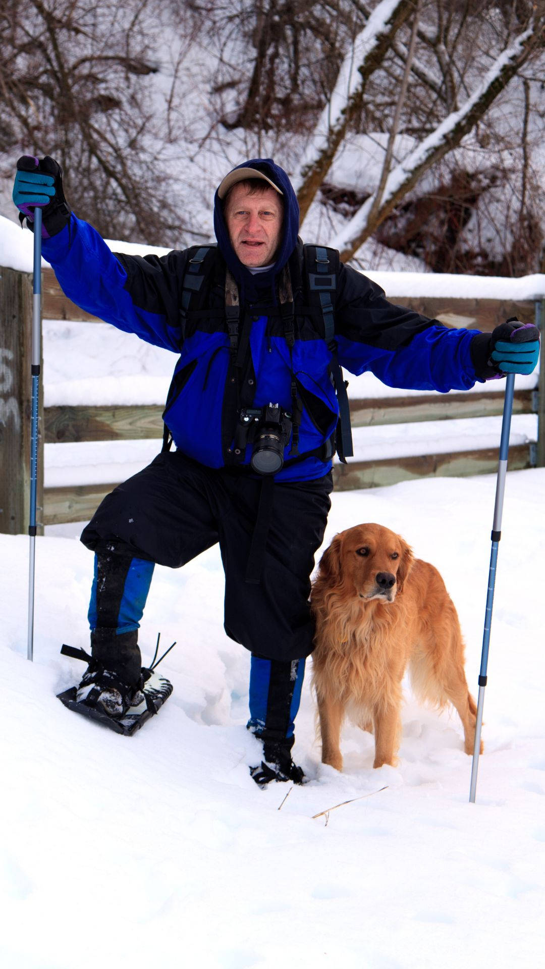 snowshoeing, man, golden retriever, Full HD Phone Wallpaper