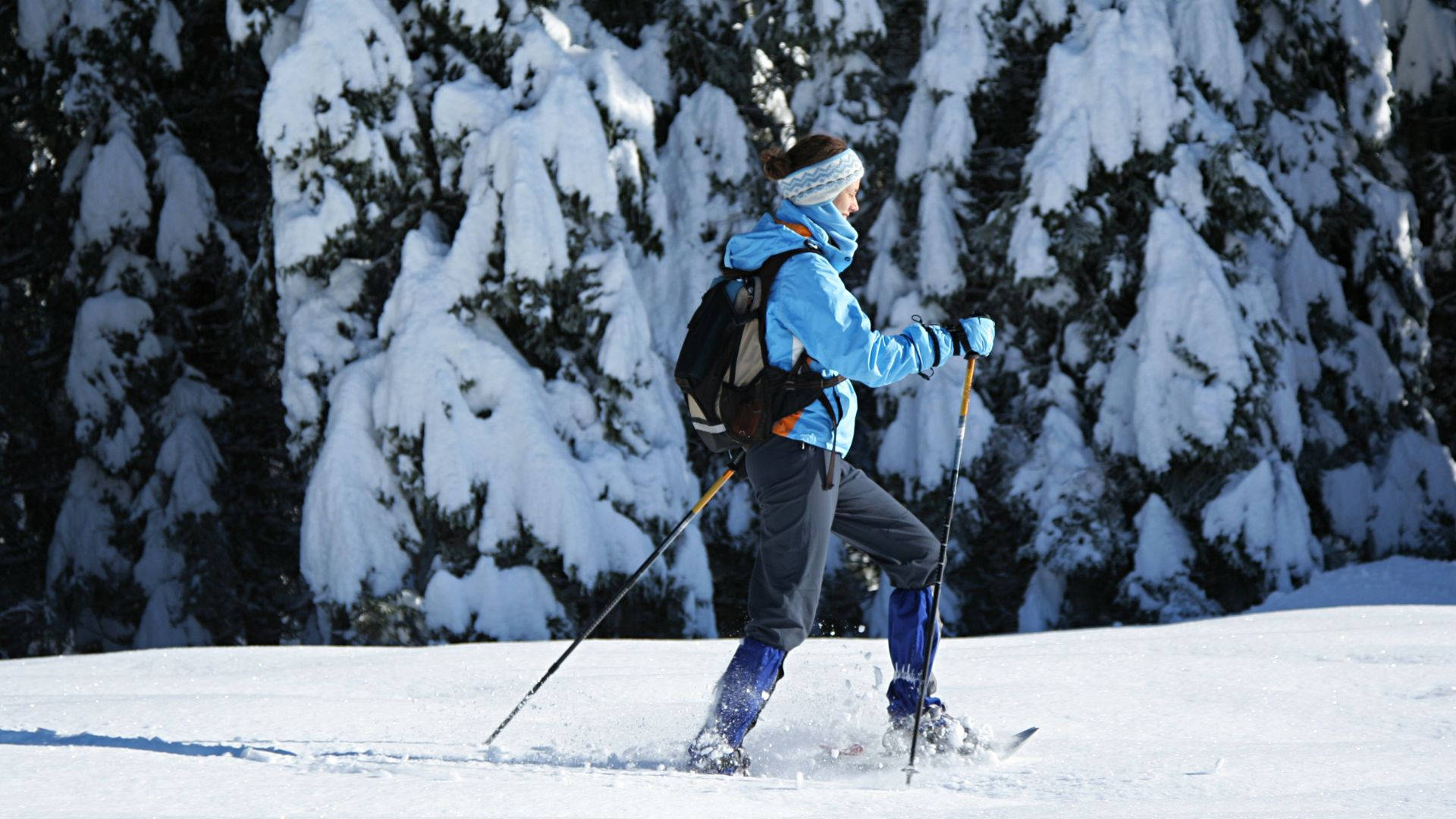 snowshoeing, bright blue jacket, fresh snow, Full HD Desktop Wallpaper