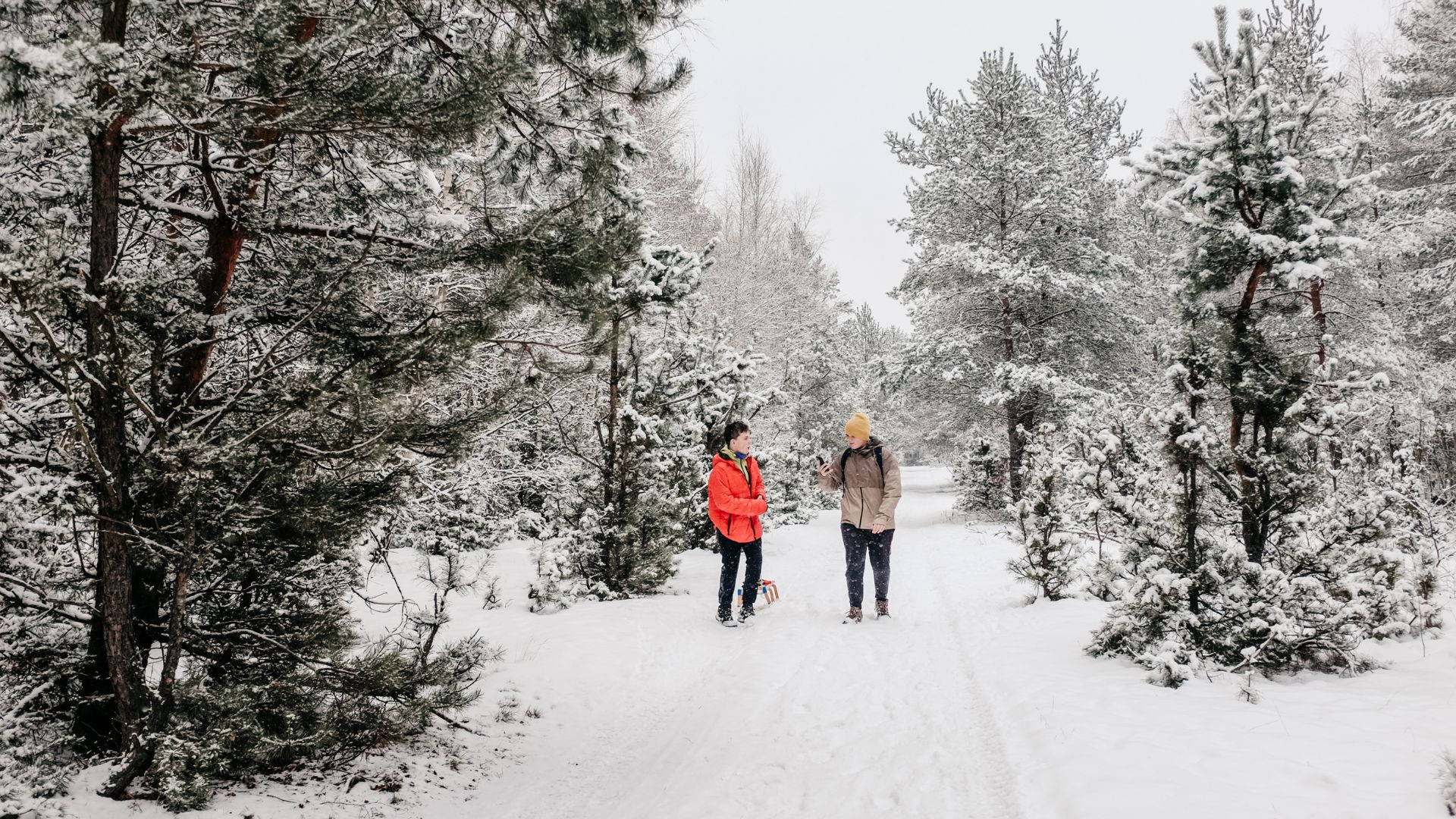 snowshoeing couple, mountain, snow-covered forest path, Full HD Desktop Wallpaper