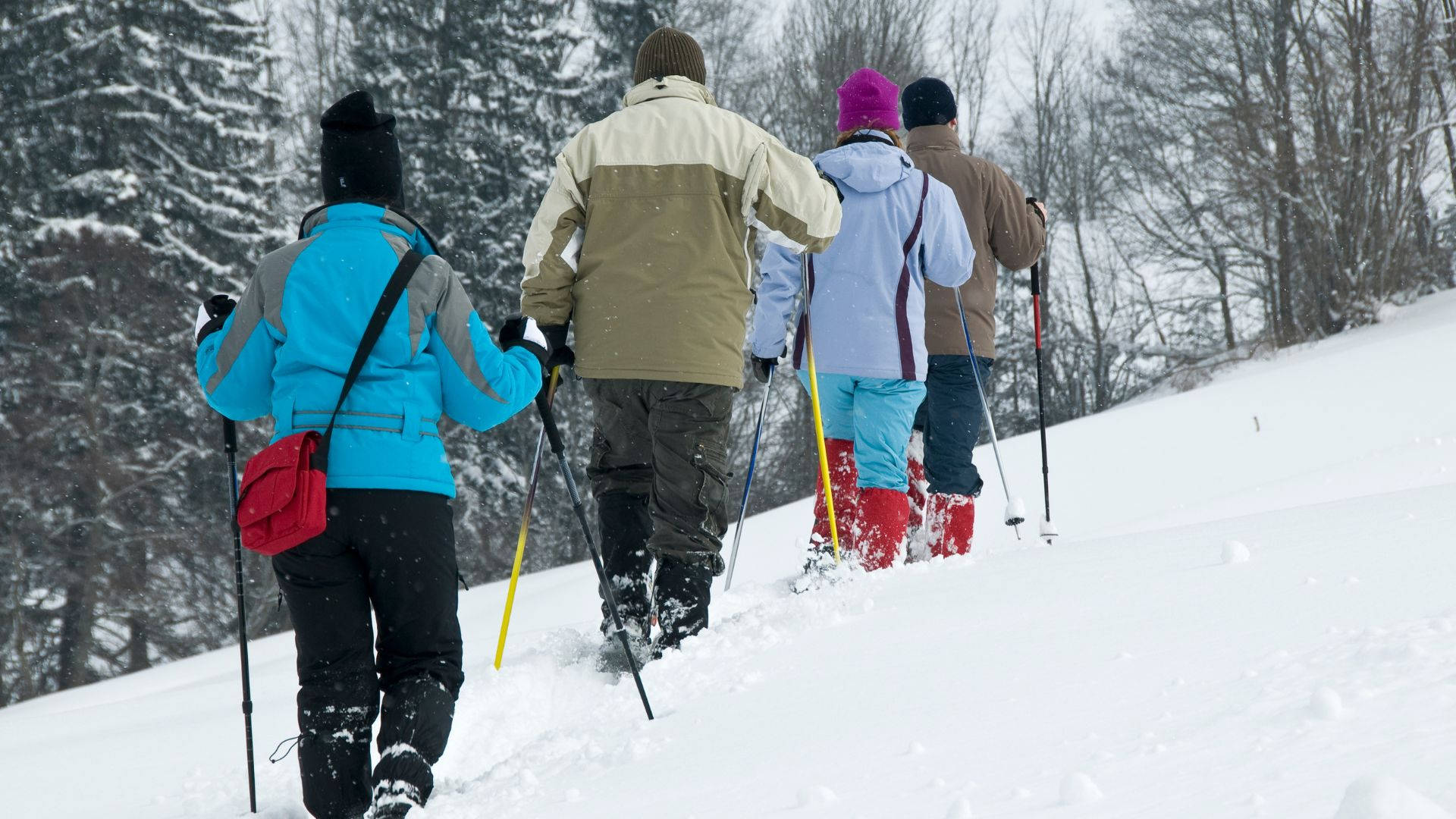snowshoeing, group of friends, winter gear, Full HD Desktop Wallpaper