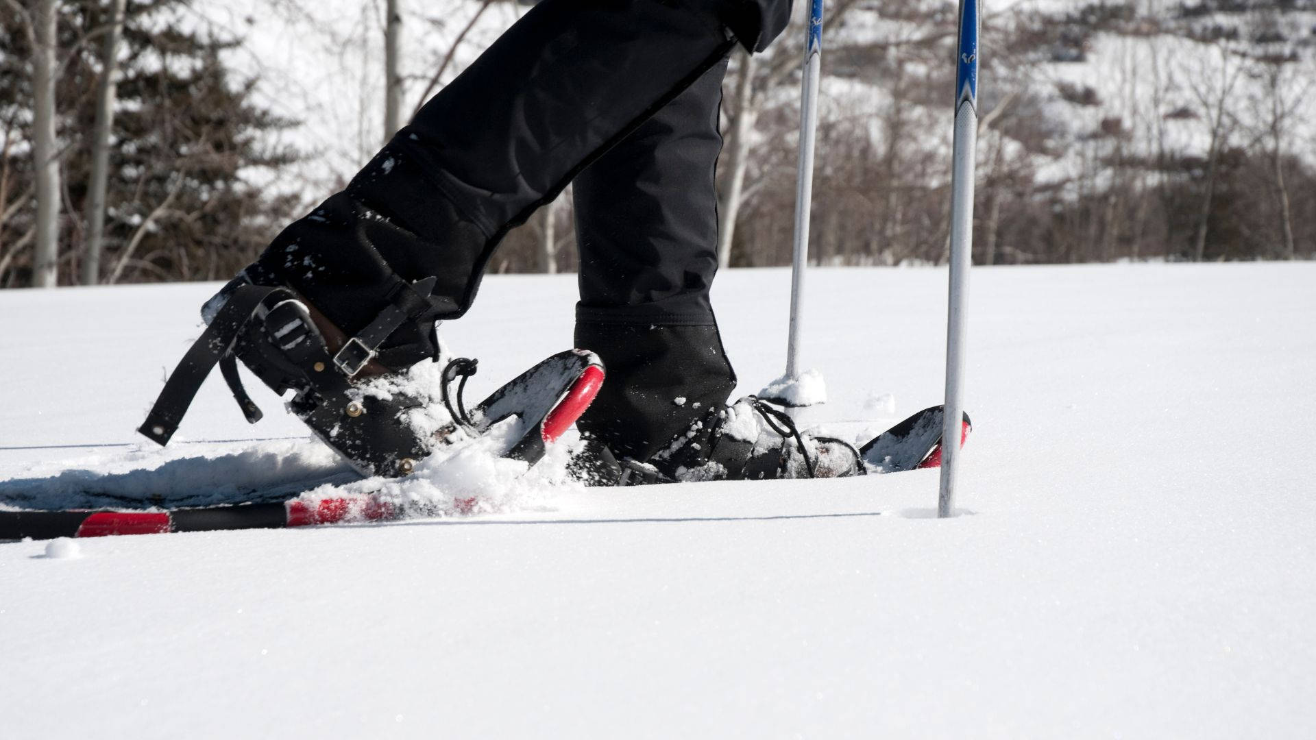 snowshoeing, skier, boots, Full HD Desktop Wallpaper