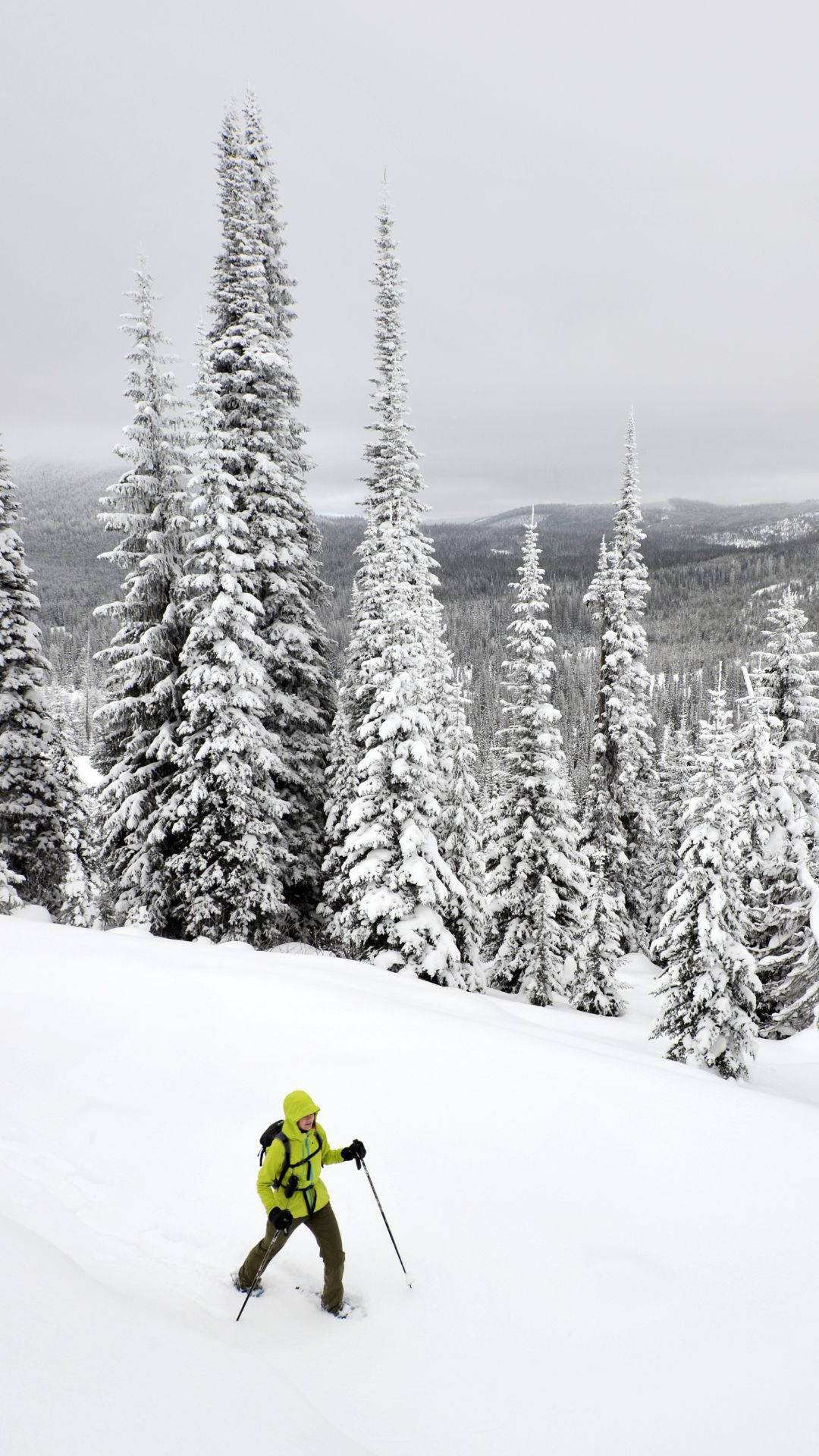 snowshoeing, snow mountain, bright yellow jacket, Full HD Phone Wallpaper