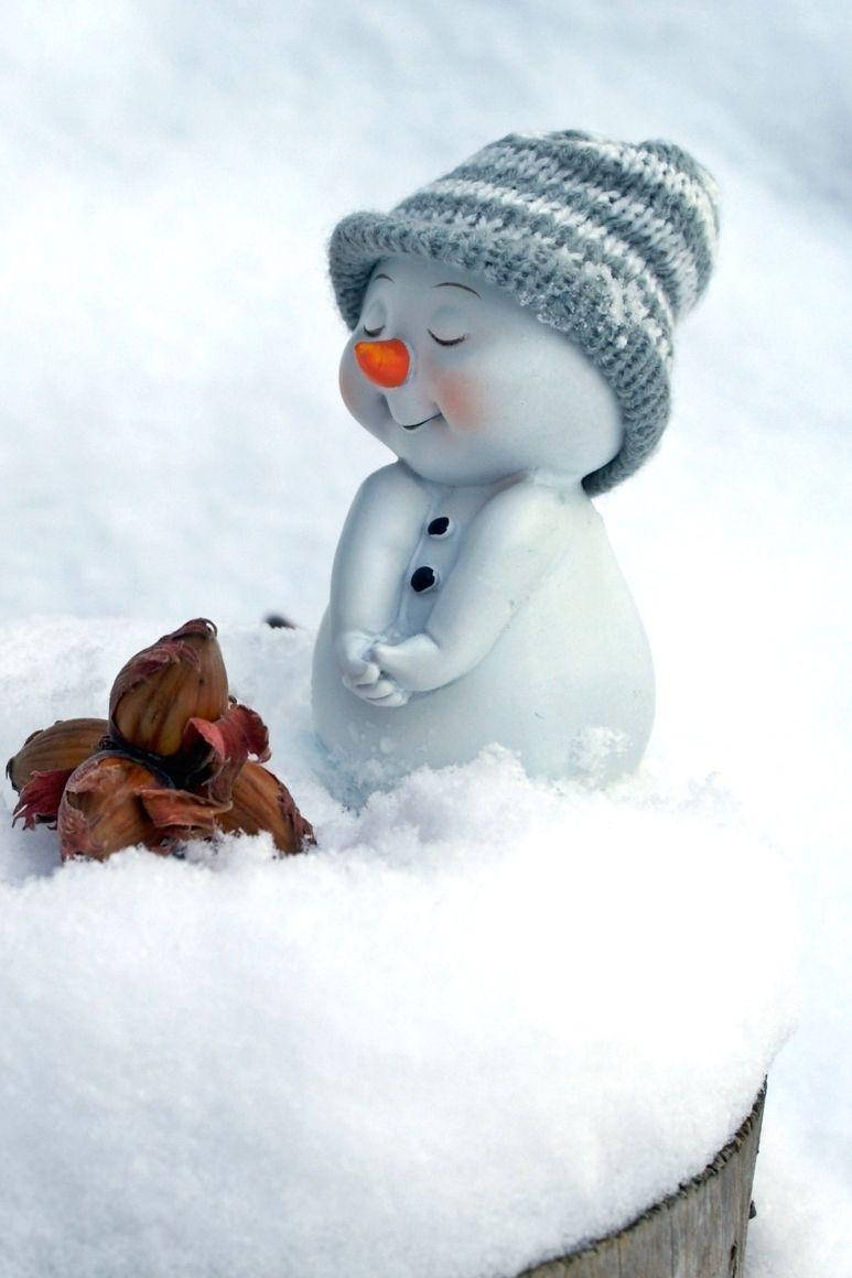 snowman figurine, gray knit hat, fresh snow, SD Phone Wallpaper