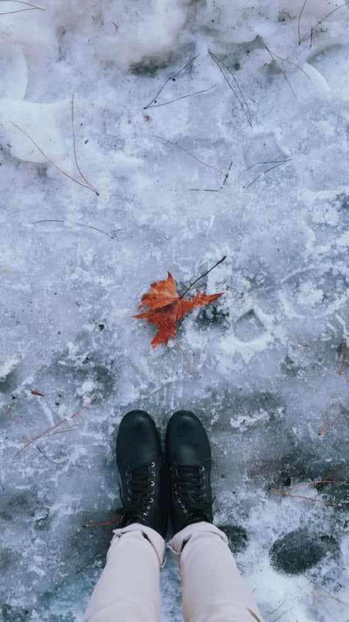 snowshoes, black boots, icy ground, SD Phone Wallpaper