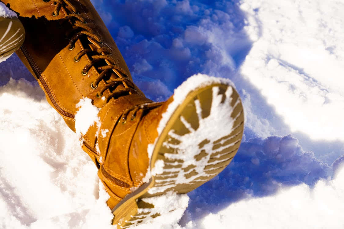 snowshoes, brown winter boot, fresh snow, SD Desktop Wallpaper
