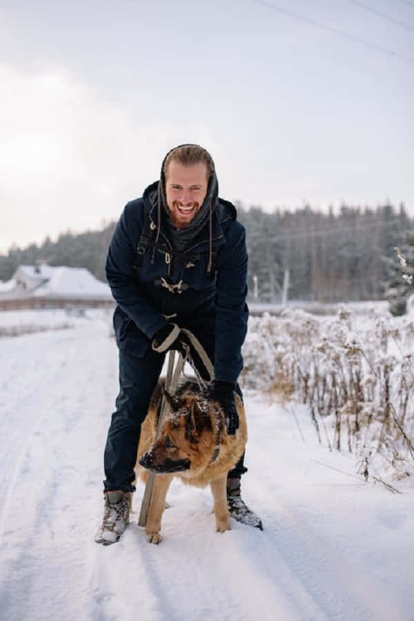 Snowshoes, German Shepherd, snowy path, SD Phone Wallpaper