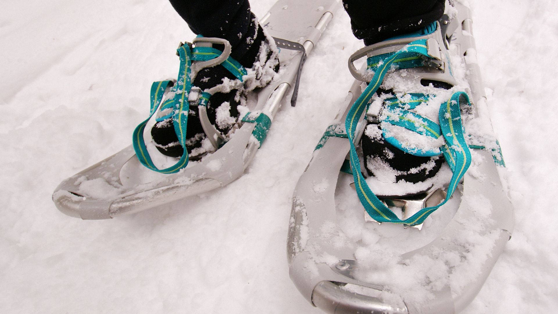 snowshoes, boots, deep fresh snow, Full HD Desktop Wallpaper