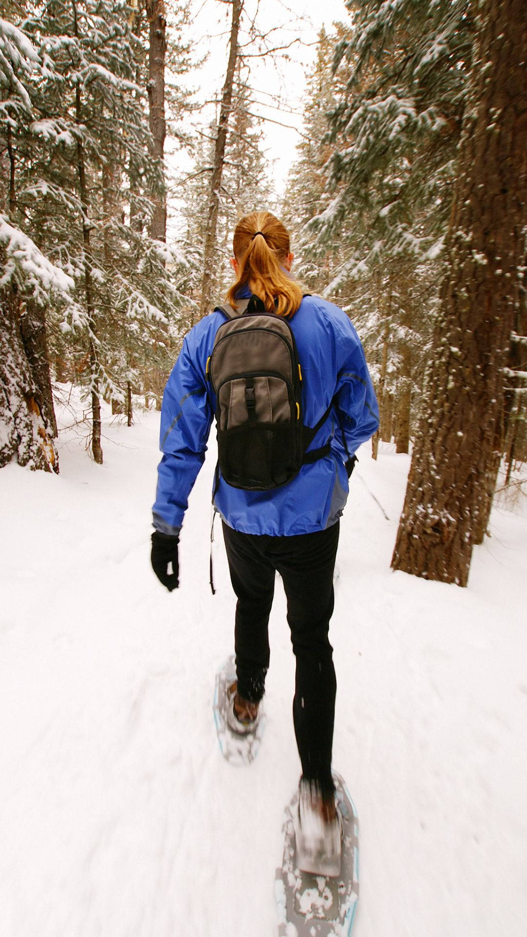 snowshoes, snowy pine forest, overcast sky, Full HD Phone Wallpaper