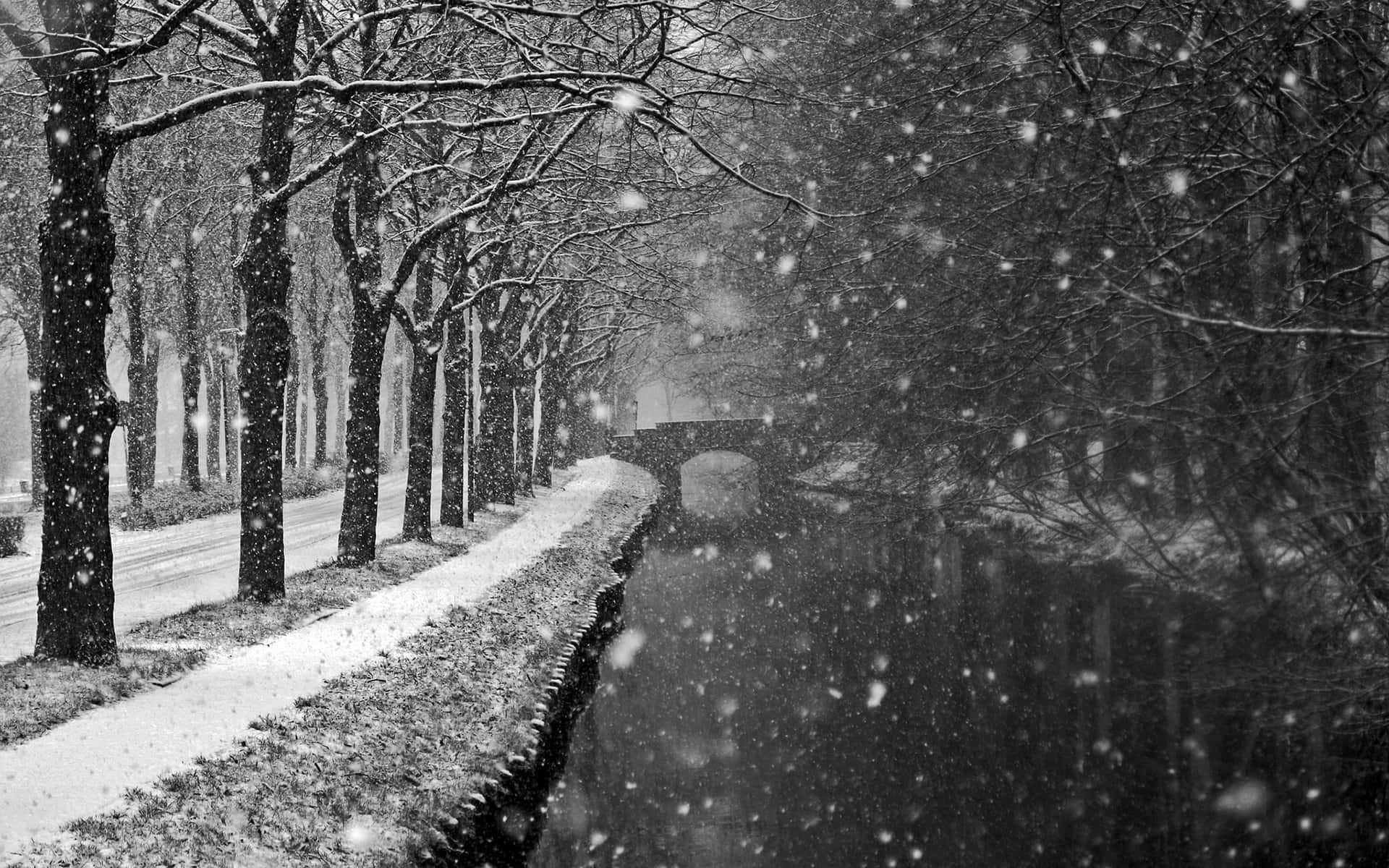 Snowstorm, 1920 x 1200, canal, Full HD Desktop Wallpaper