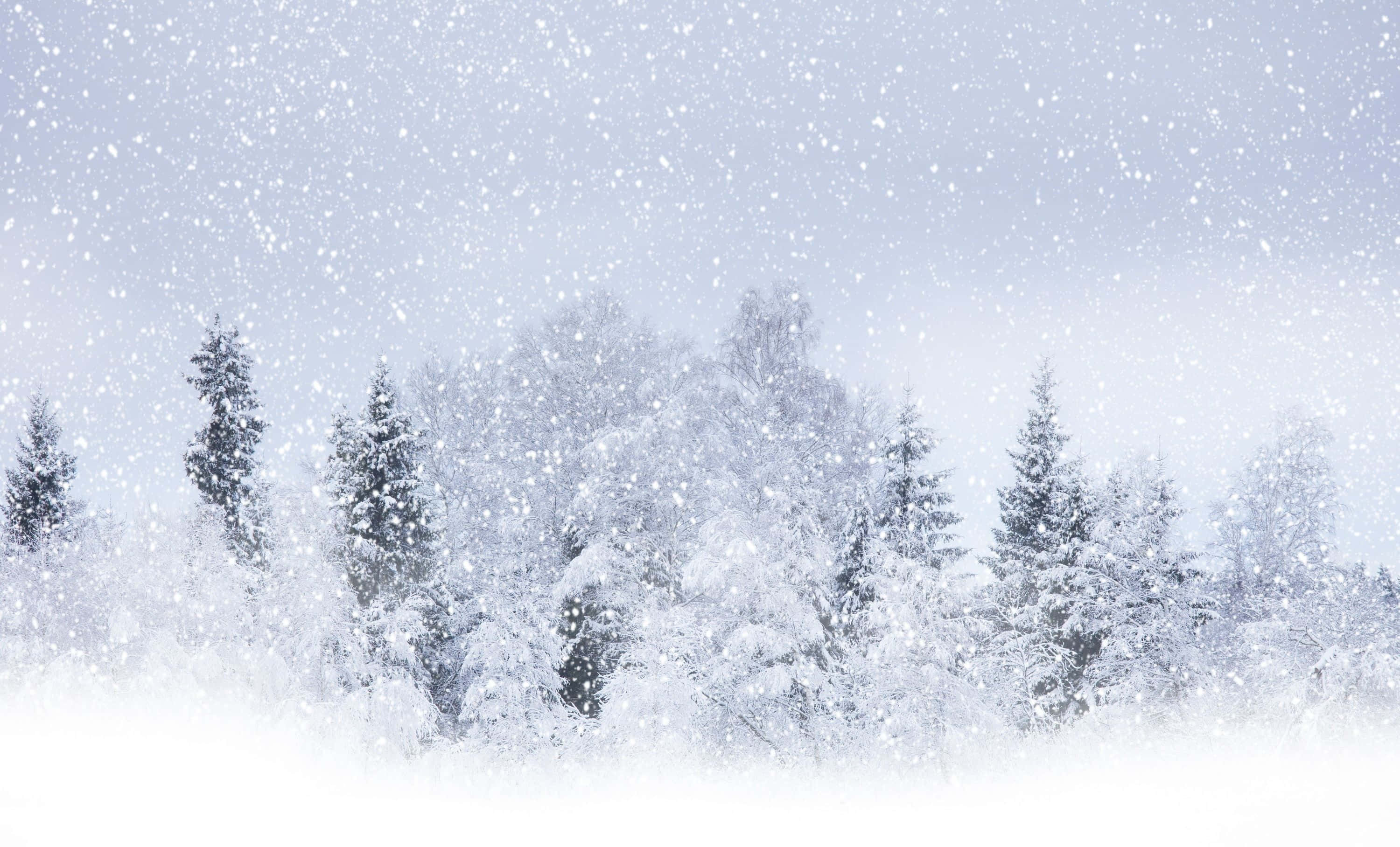 Snowstorm 3000, 1816, winter sky, 2K Desktop Wallpaper