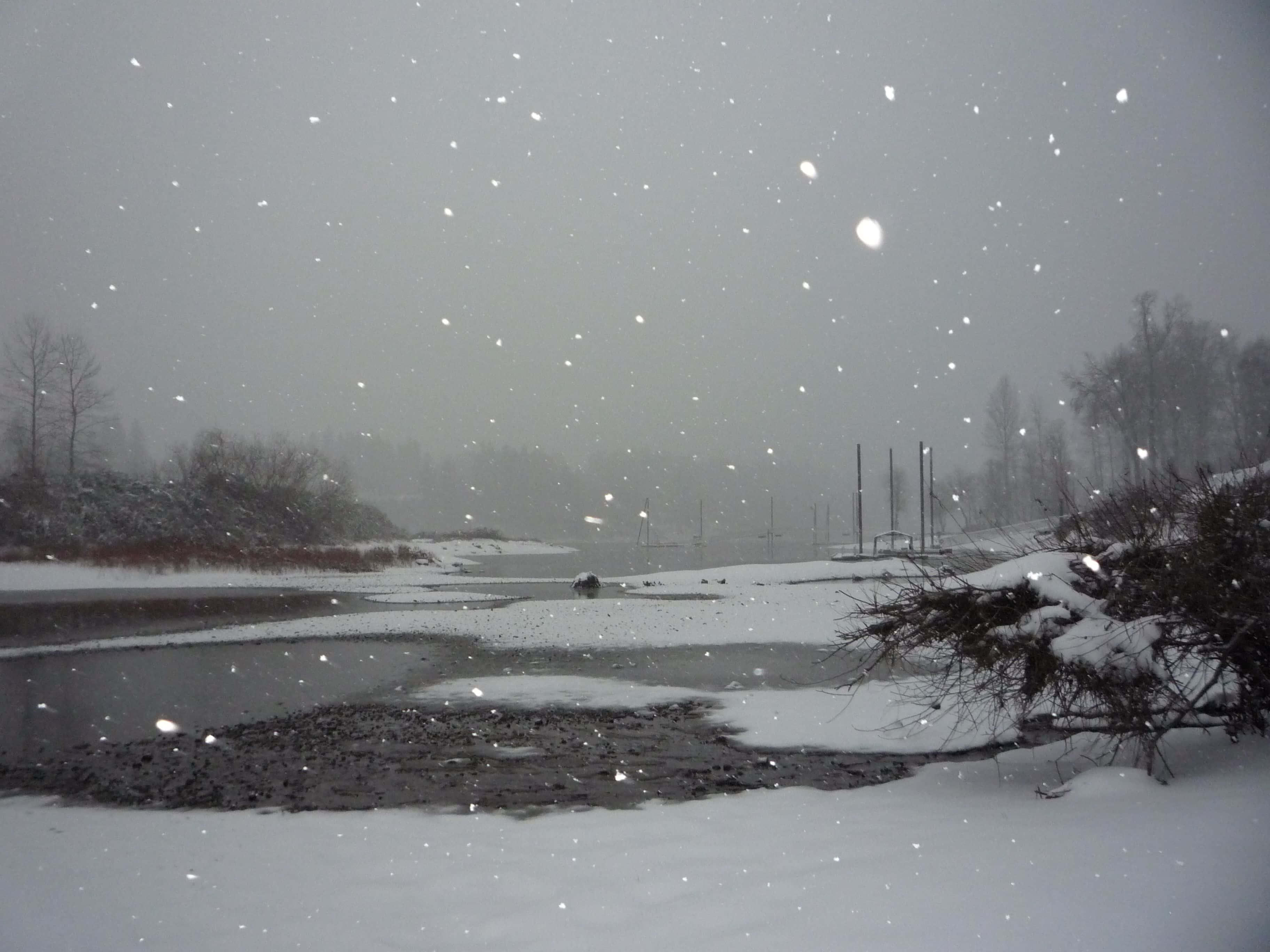 winter wonderland, snowflakes, gray winter sky, 2K Desktop Wallpaper