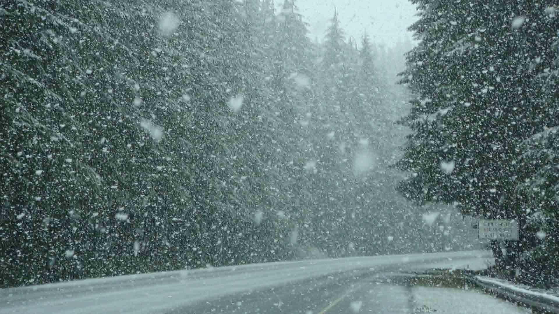 Snowstorm, 1920 x 1080, forest road, Full HD Desktop Wallpaper