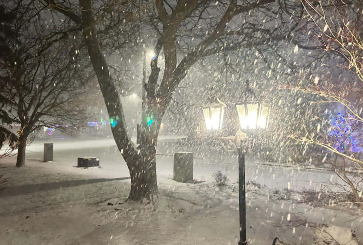 Imminent White Snowstorm, vintage street lamps, winter park, SD Desktop Wallpaper